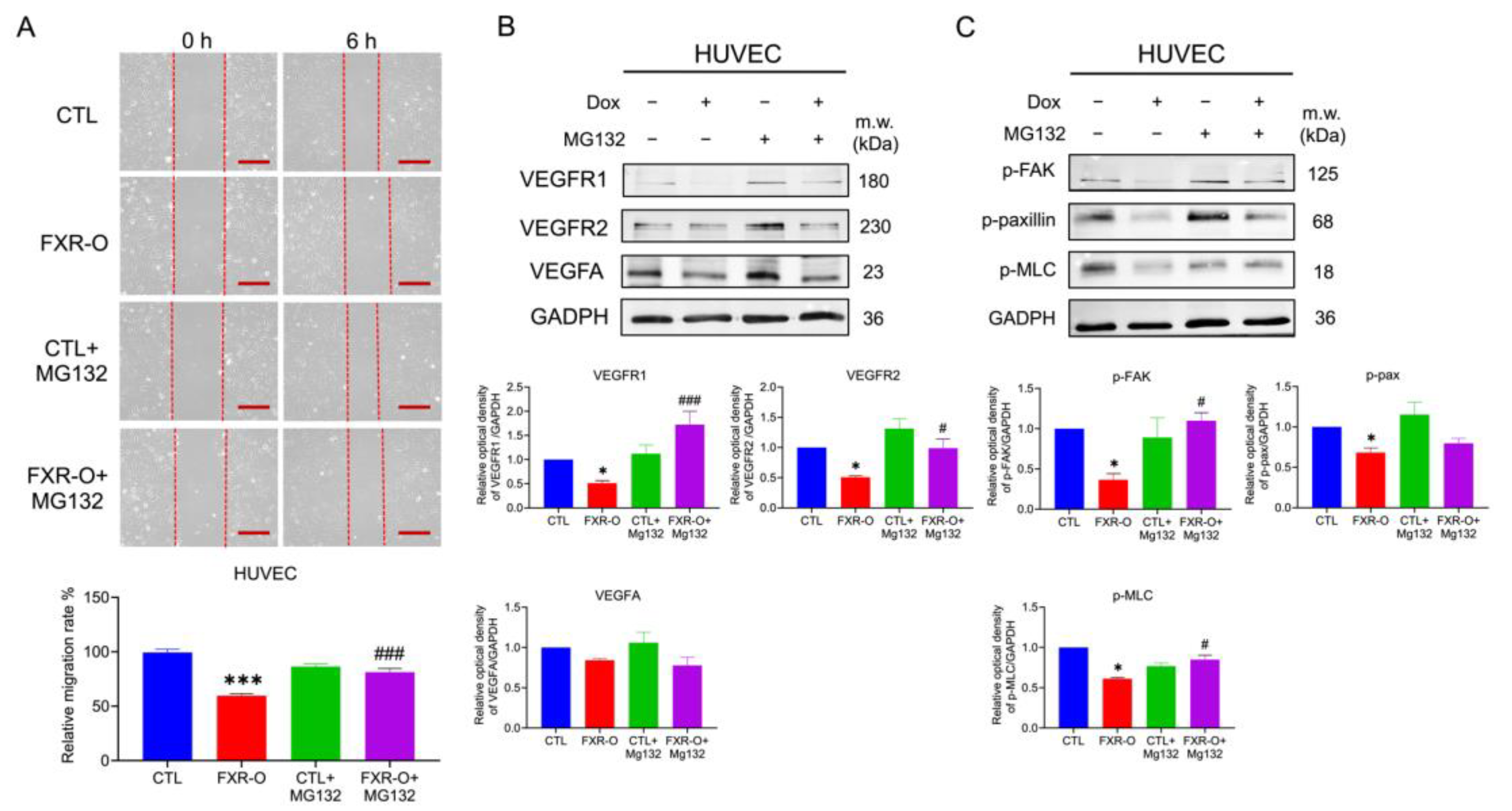 Ijms 23 05259 g010 550