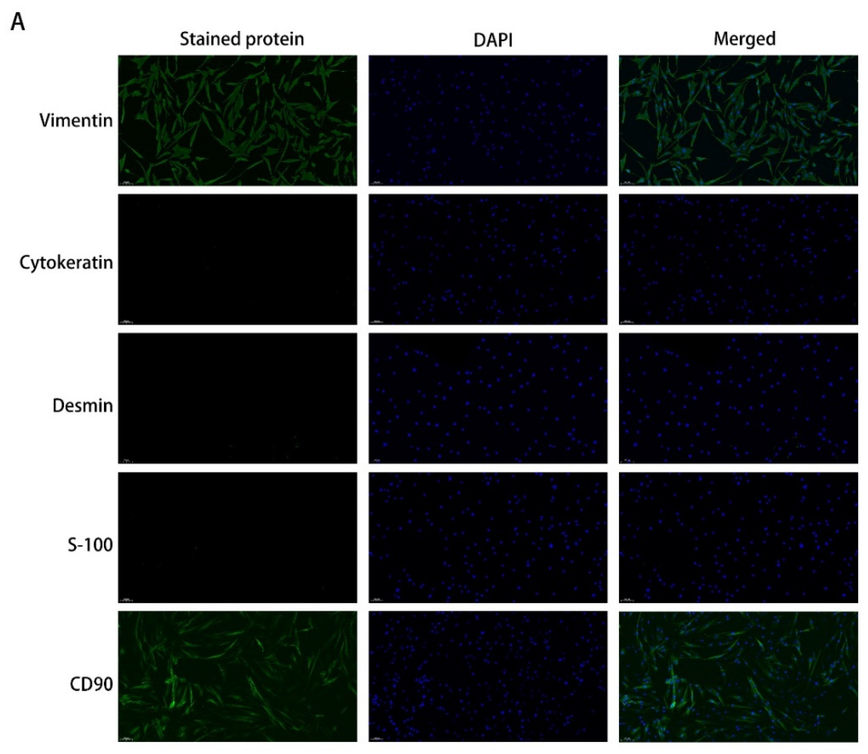 Ijms 23 05261 g001a 550