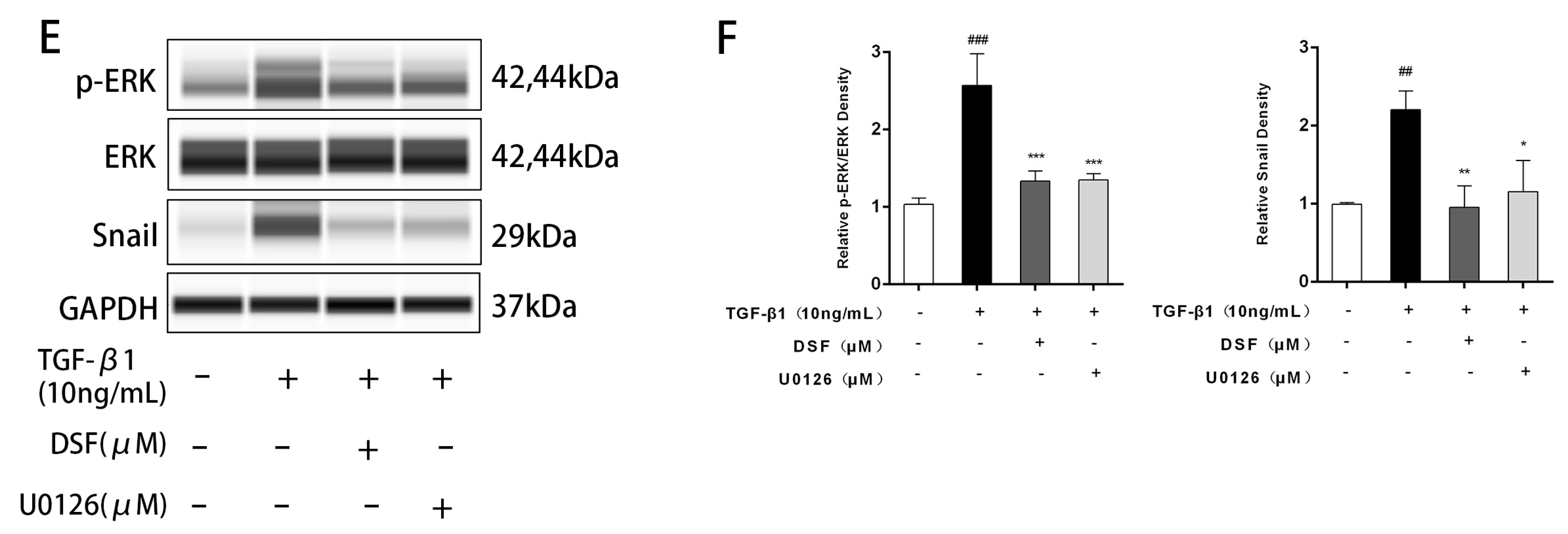 Ijms 23 05261 g003b 550