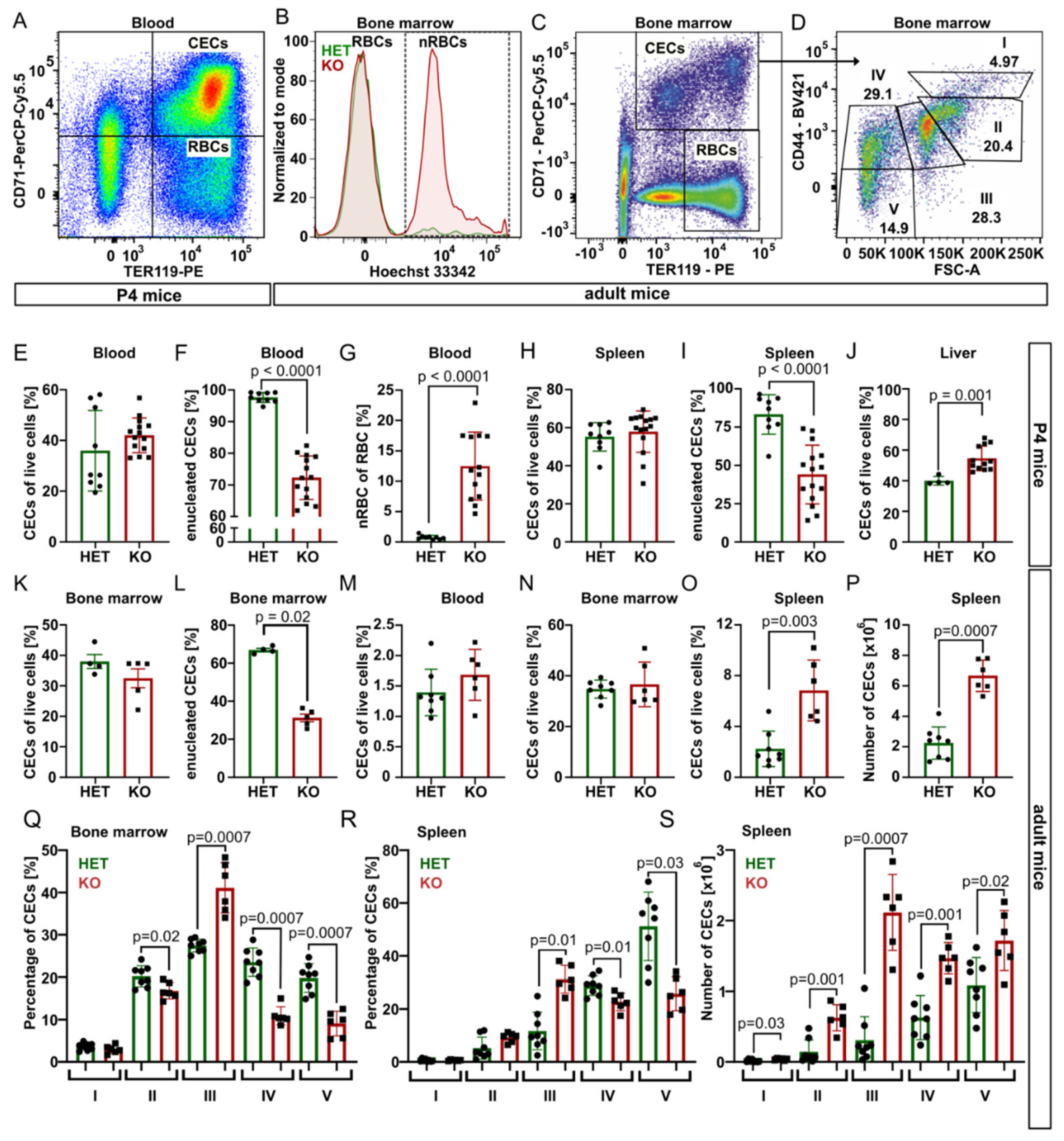 Ijms 23 05263 g002 550