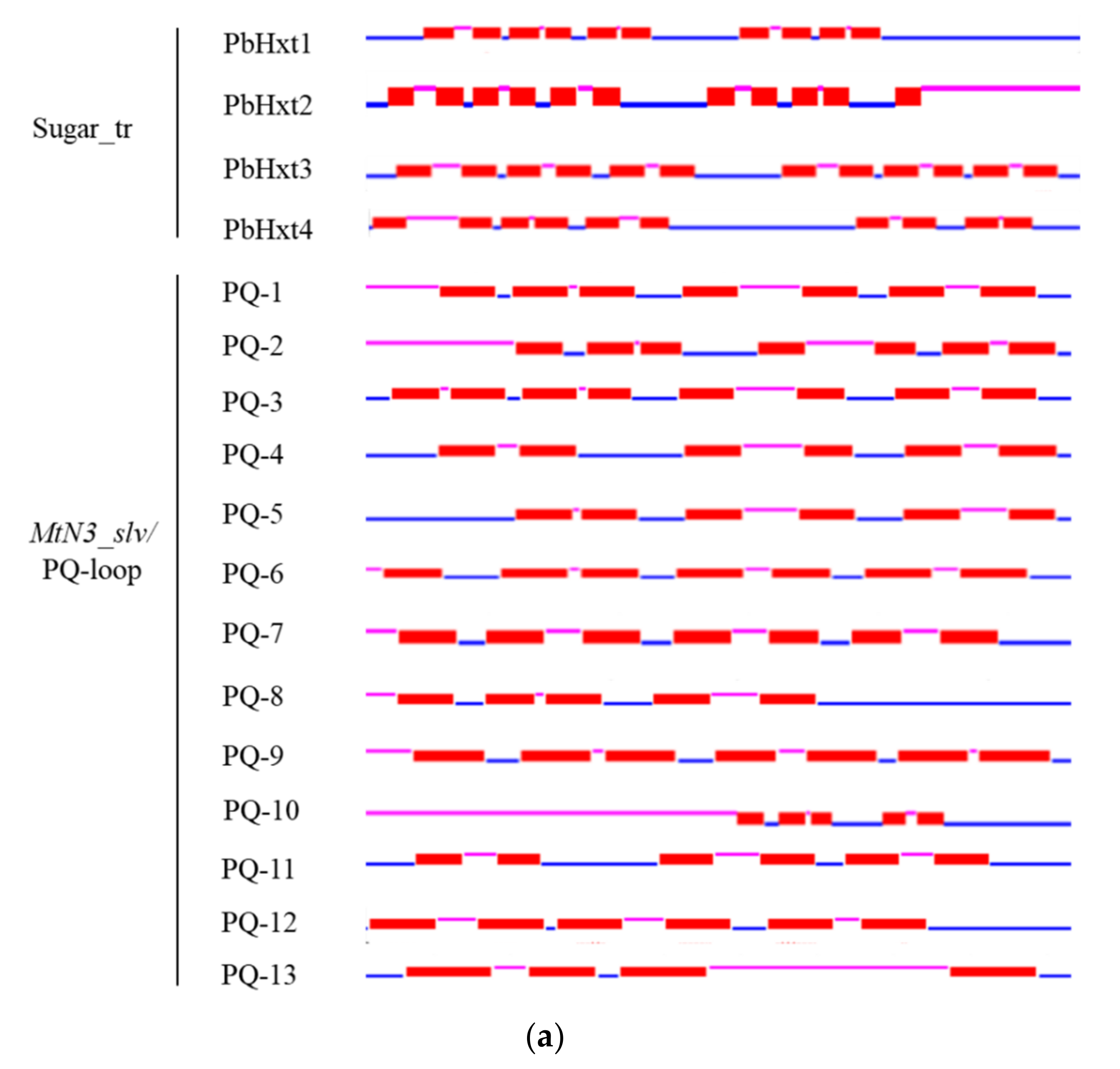 Ijms 23 05264 g002a Ijms 23 05264 g002a