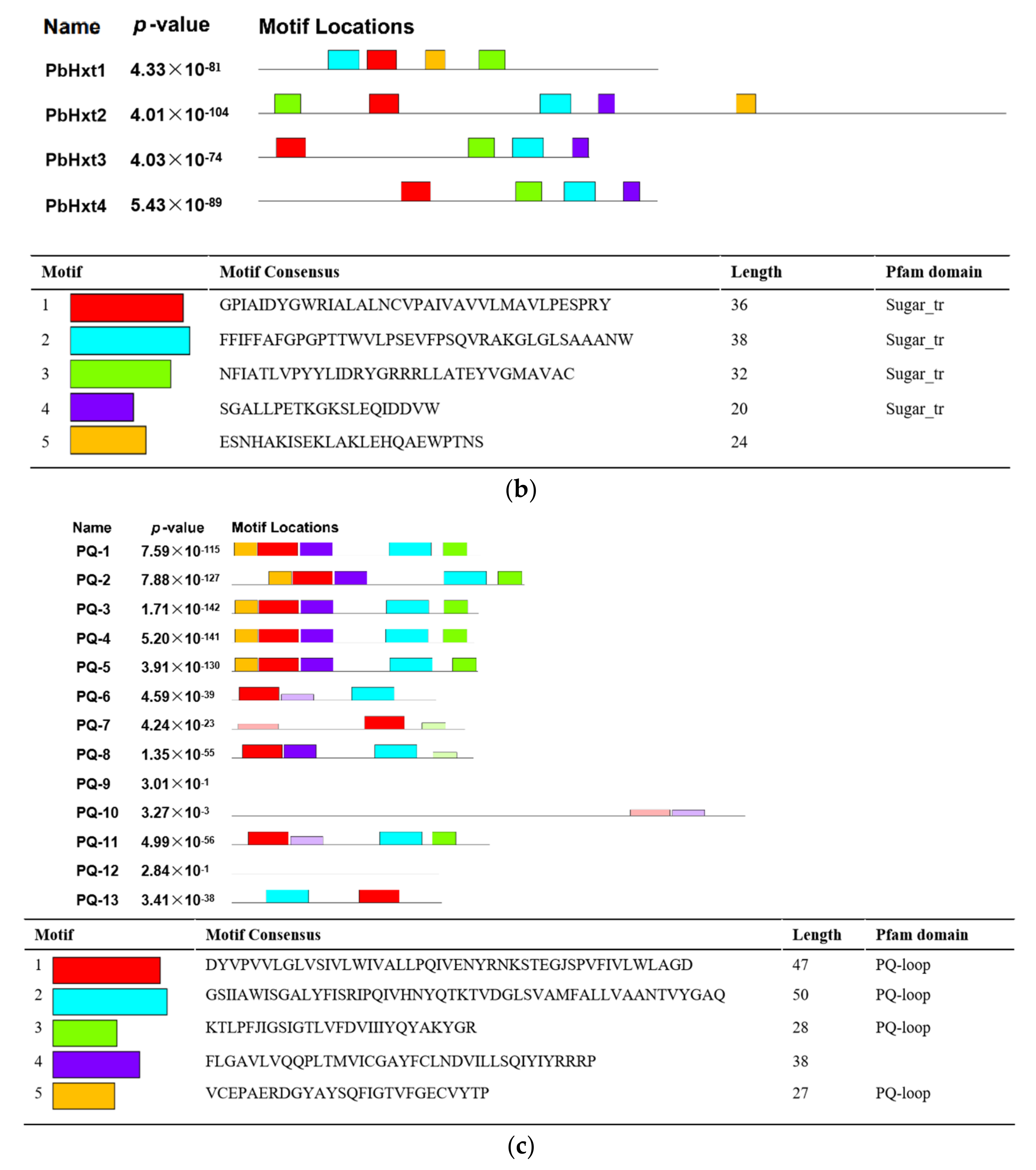 Ijms 23 05264 g002b Ijms 23 05264 g002b