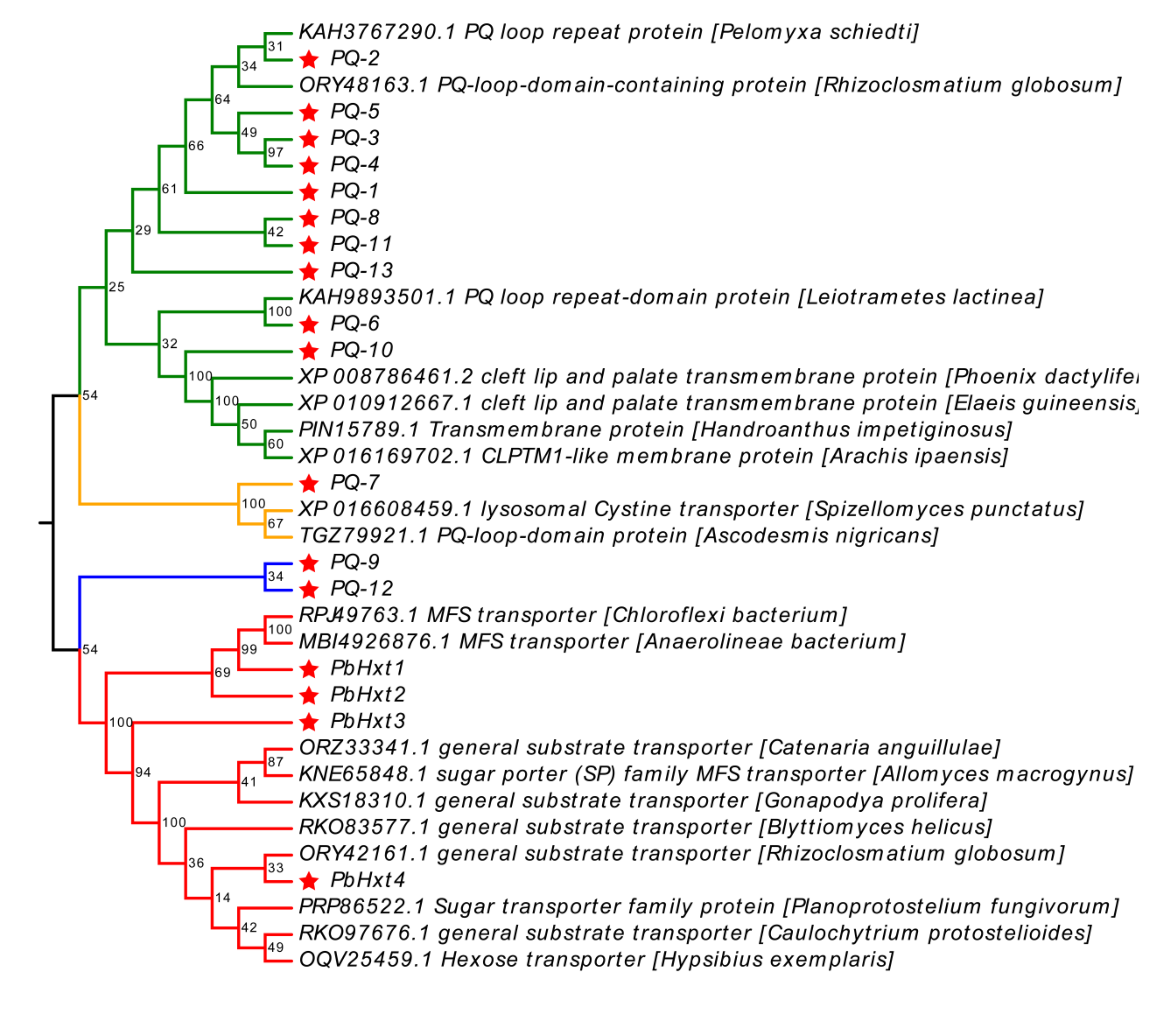 Ijms 23 05264 g003 Ijms 23 05264 g003