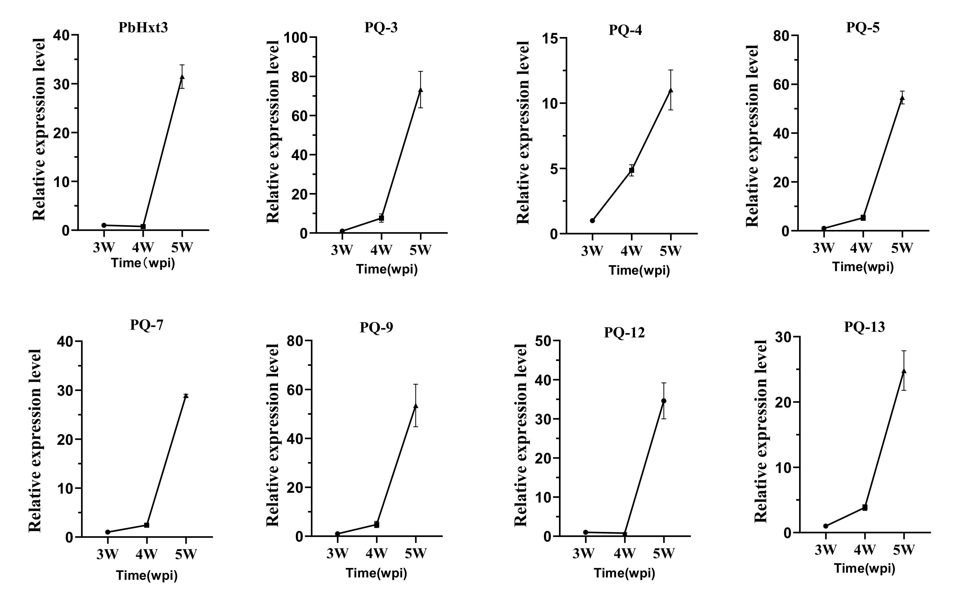 Ijms 23 05264 g005 Ijms 23 05264 g005
