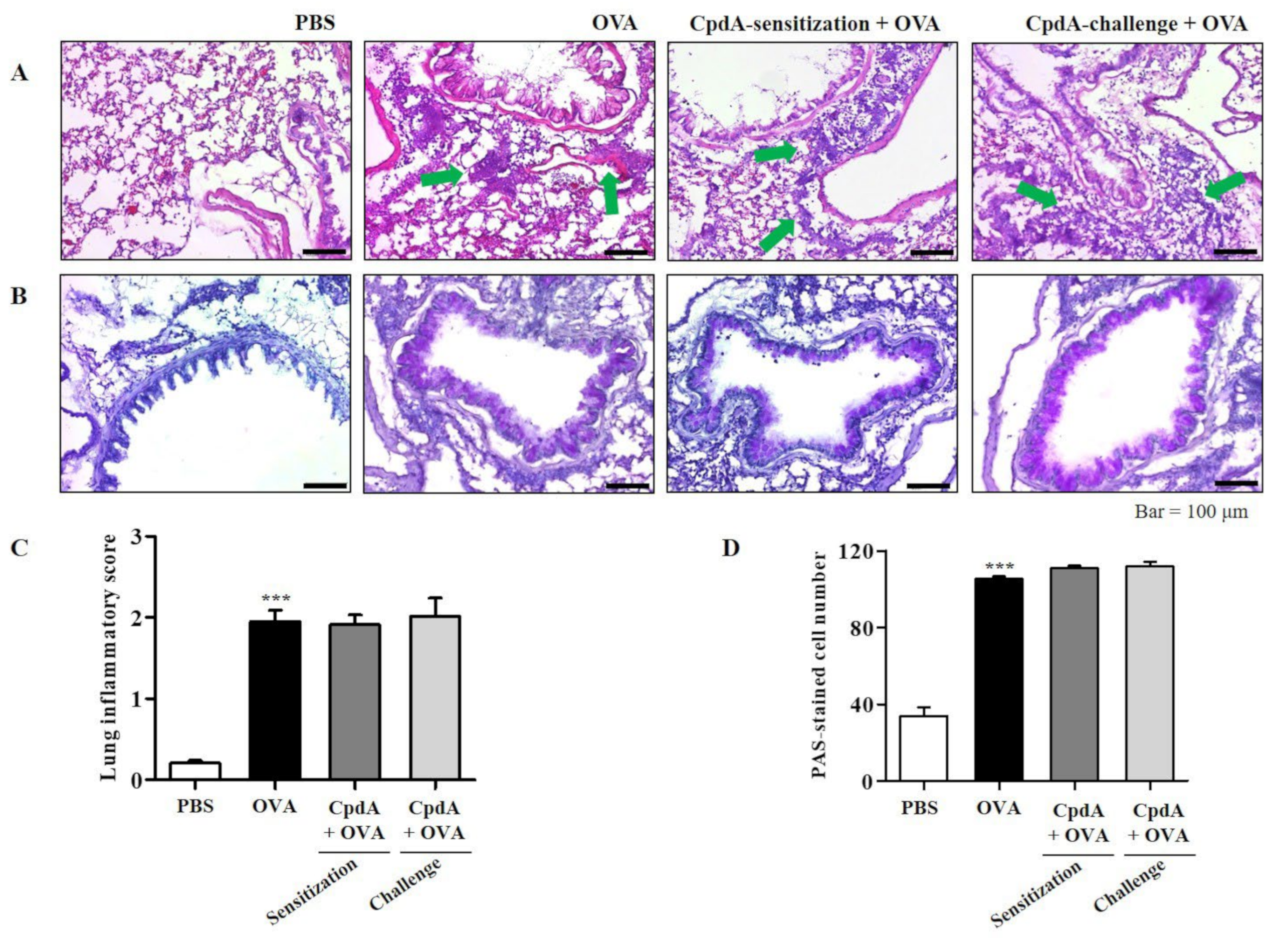 Ijms 23 05270 g007 550