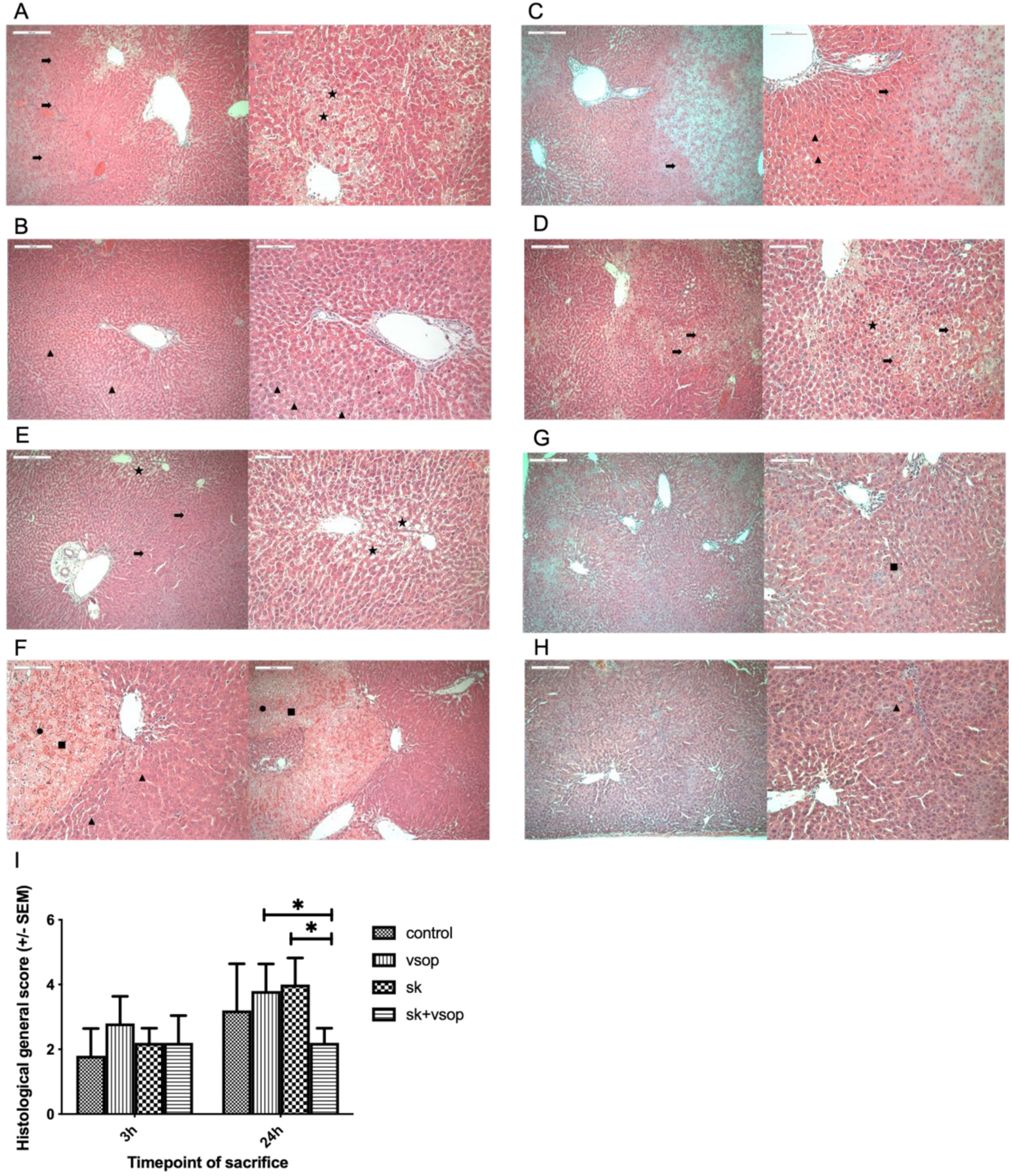 Ijms 23 05272 g004 550