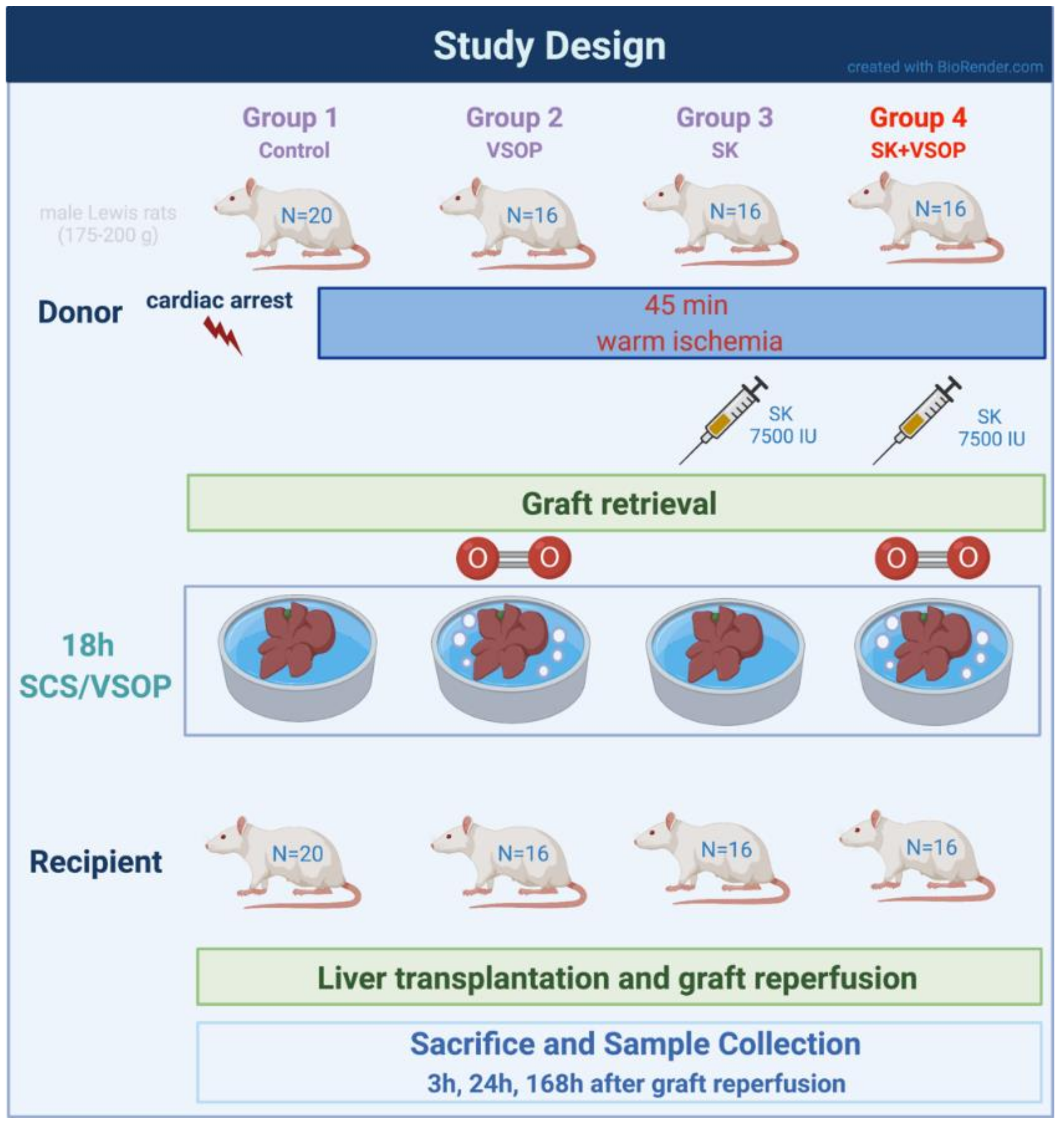 Ijms 23 05272 g006 550