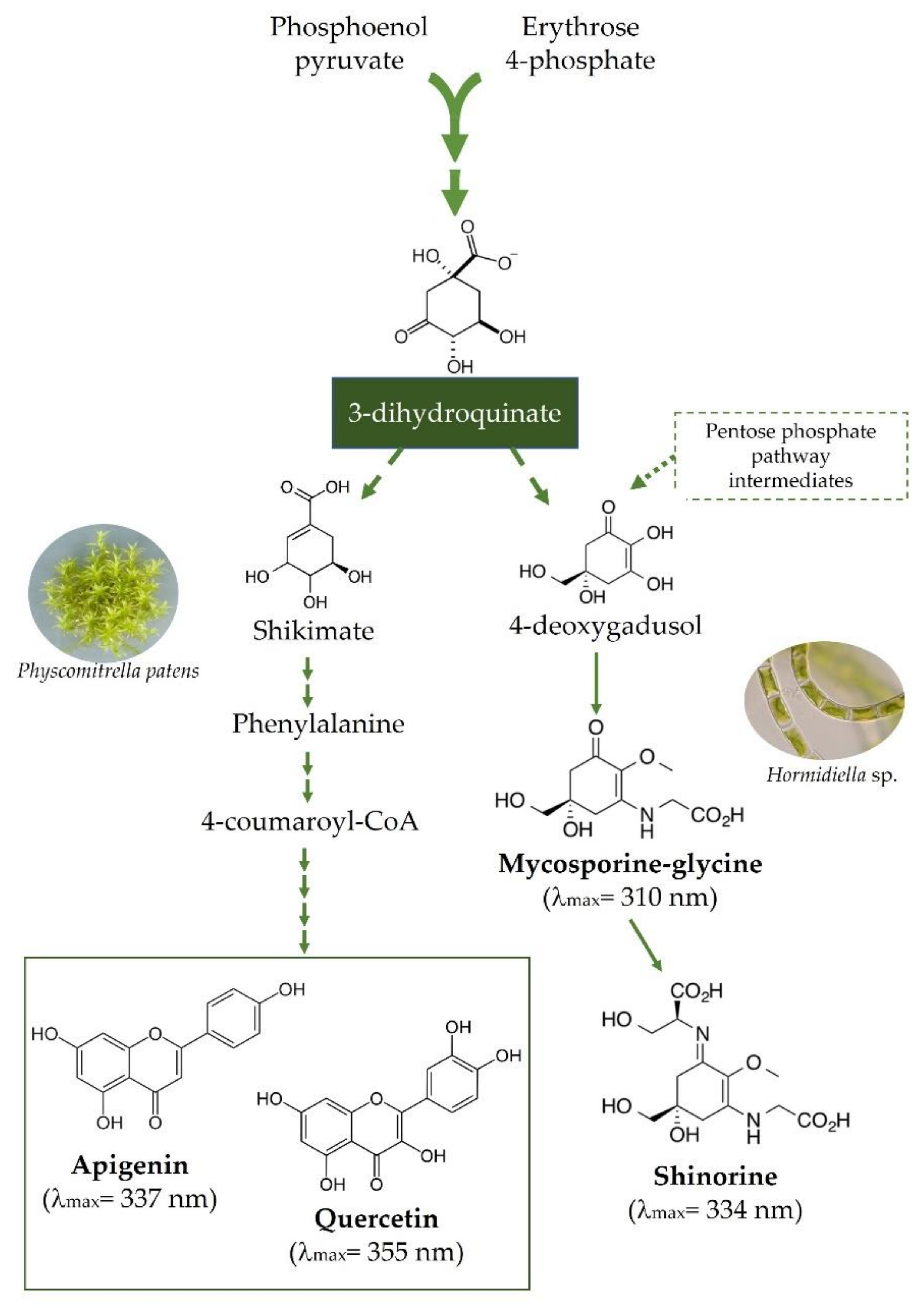Ijms 23 05284 g001 550