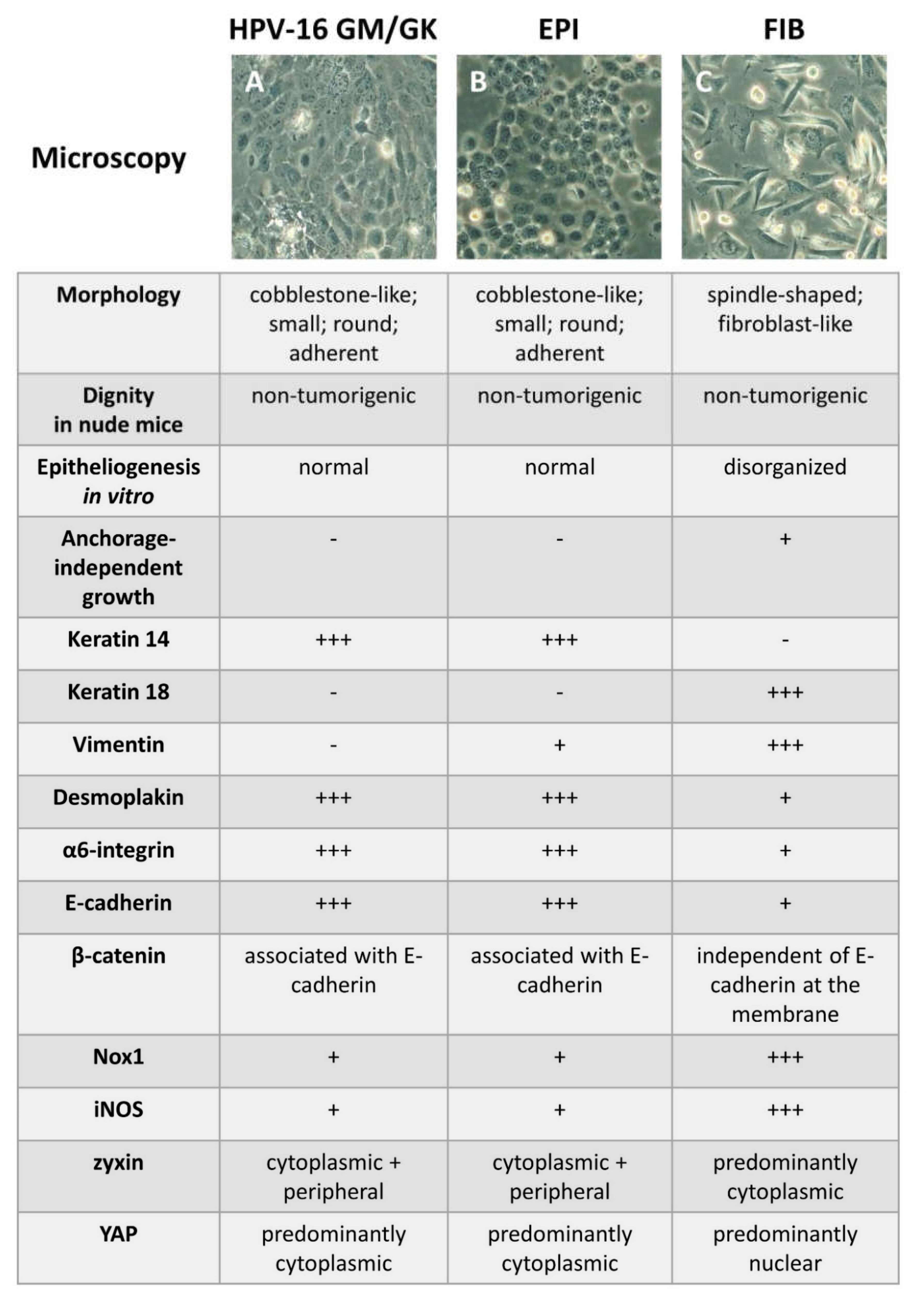 Ijms 23 05288 g001 Ijms 23 05288 g001