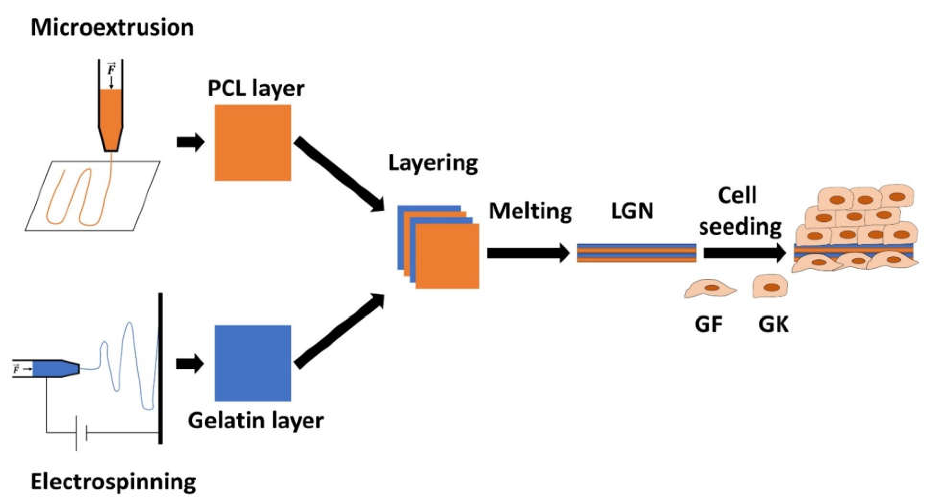 Ijms 23 05288 g002 Ijms 23 05288 g002