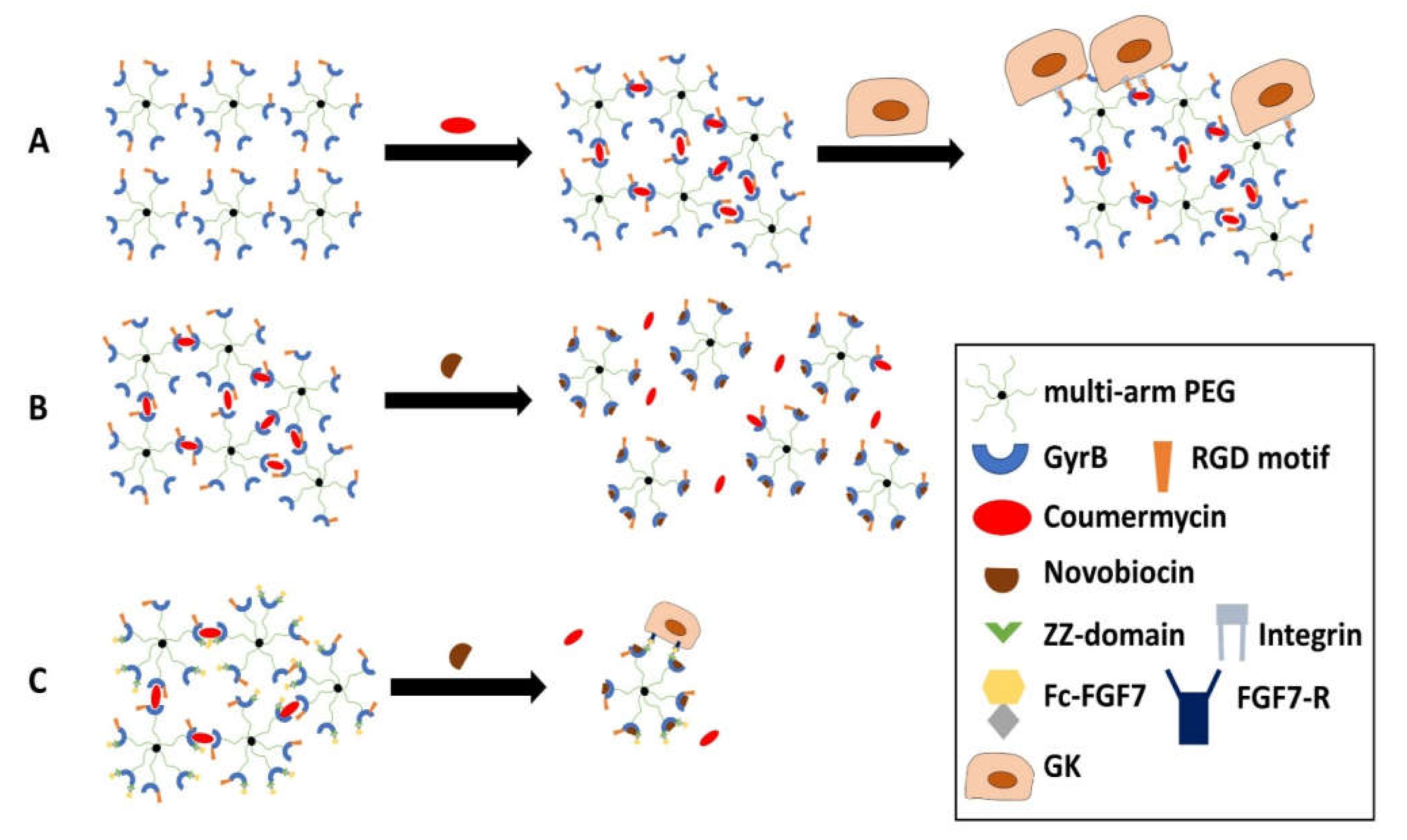 Ijms 23 05288 g003 Ijms 23 05288 g003