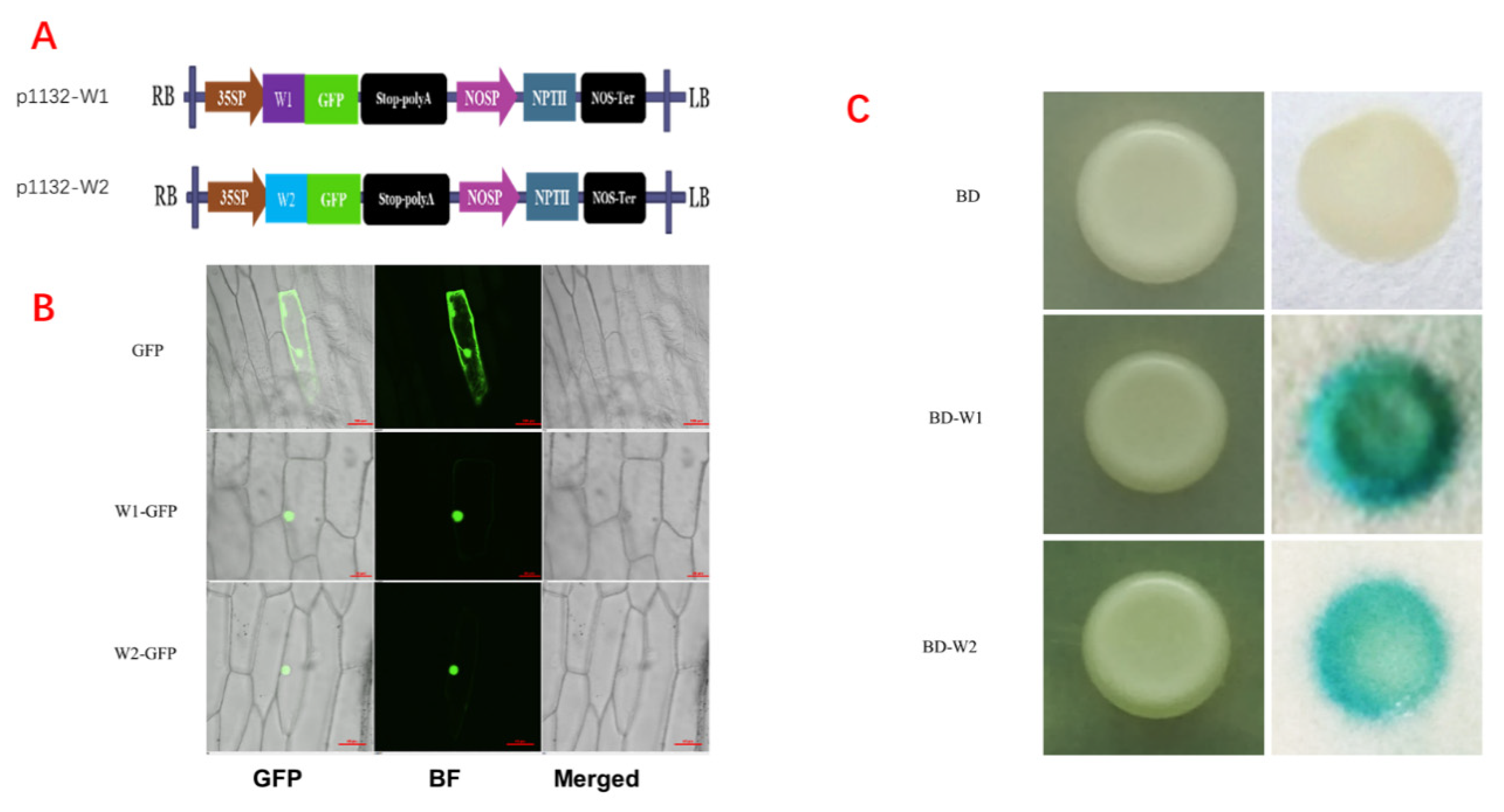 Ijms 23 05293 g003 550