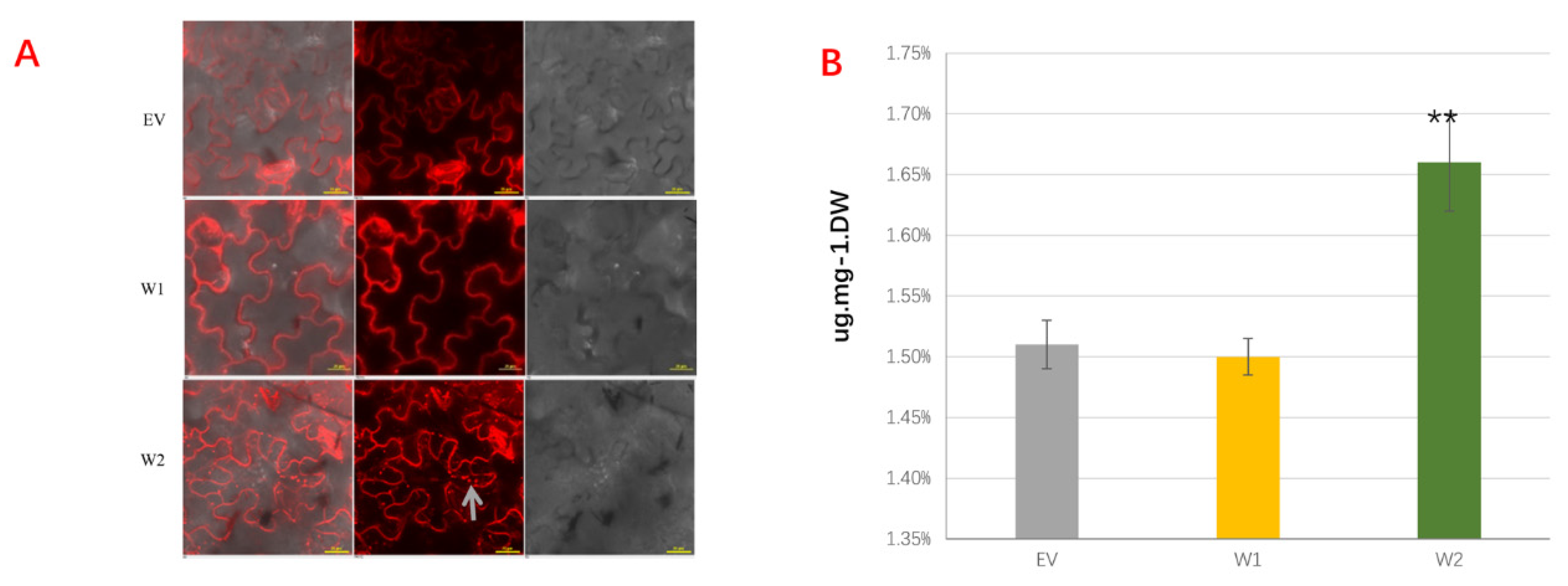 Ijms 23 05293 g004 550
