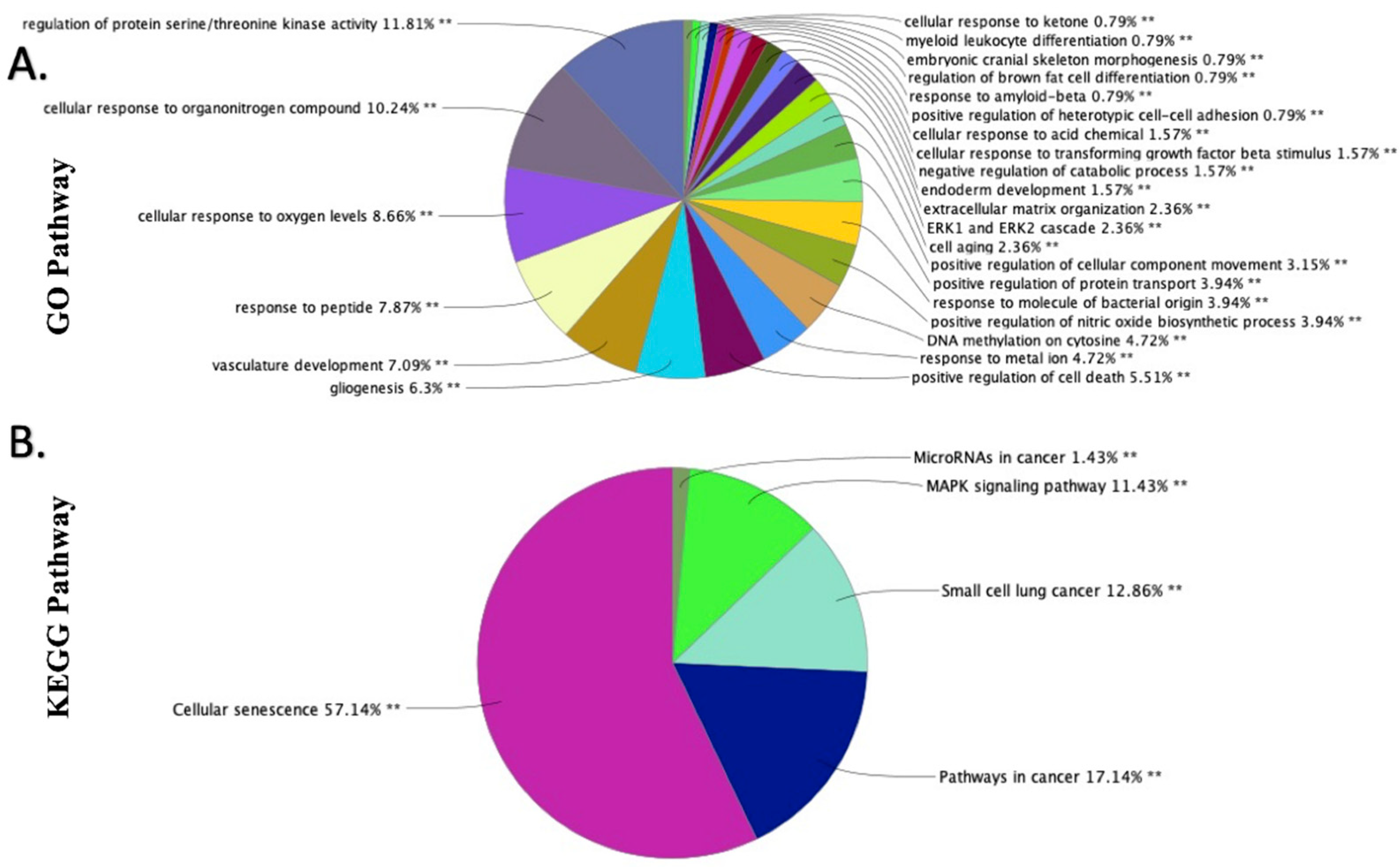 Ijms 23 05297 g005 Ijms 23 05297 g005
