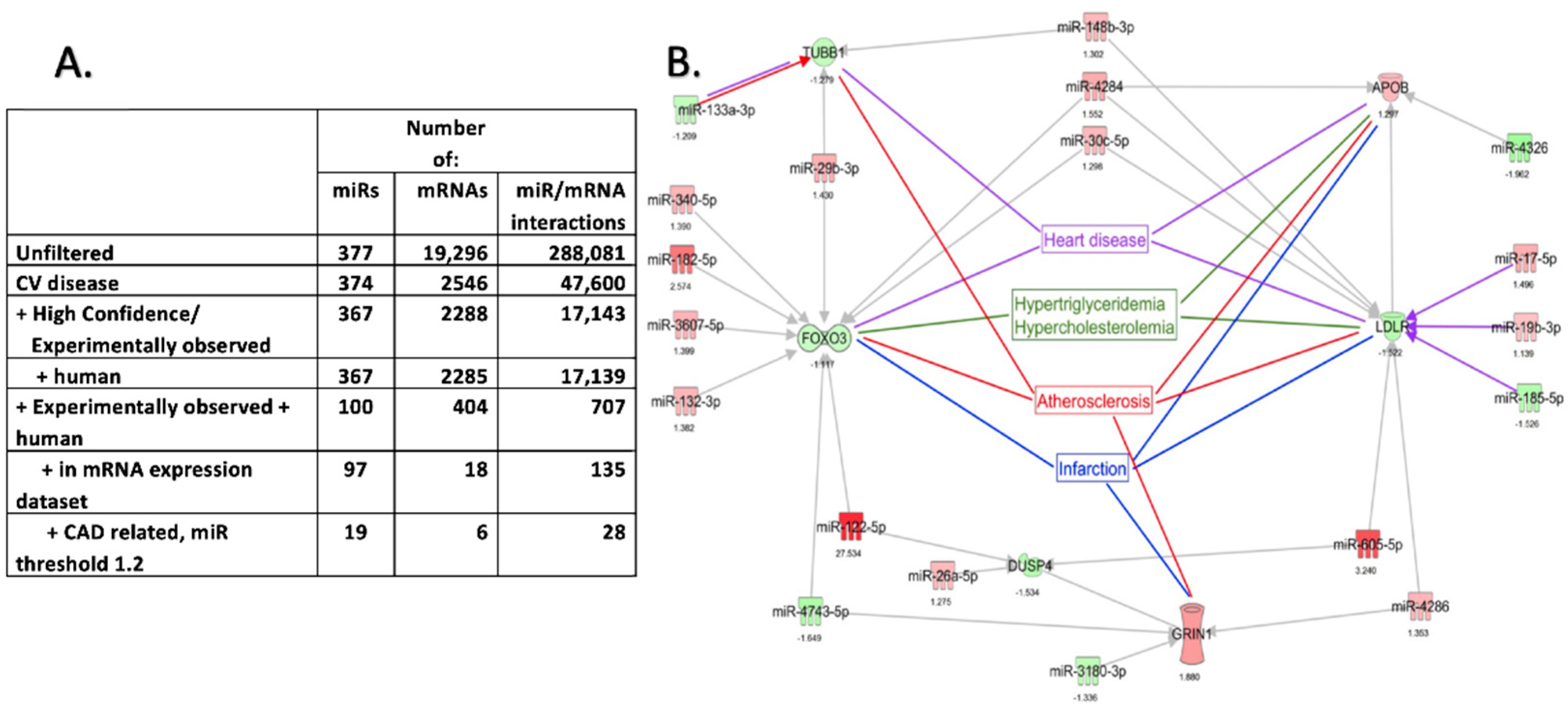 Ijms 23 05297 g006 Ijms 23 05297 g006