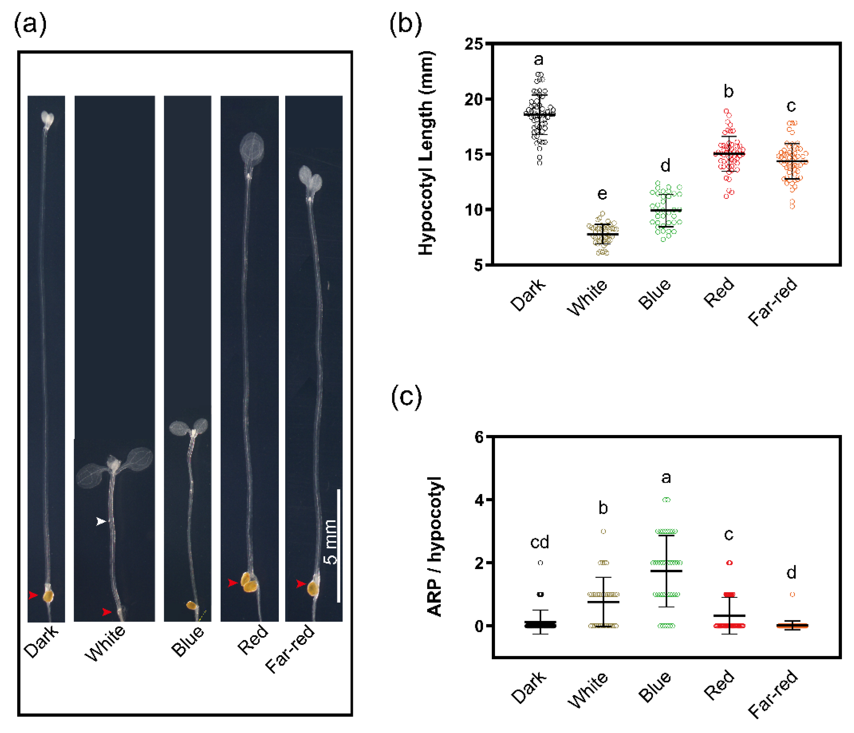 Ijms 23 05301 g002 Ijms 23 05301 g002