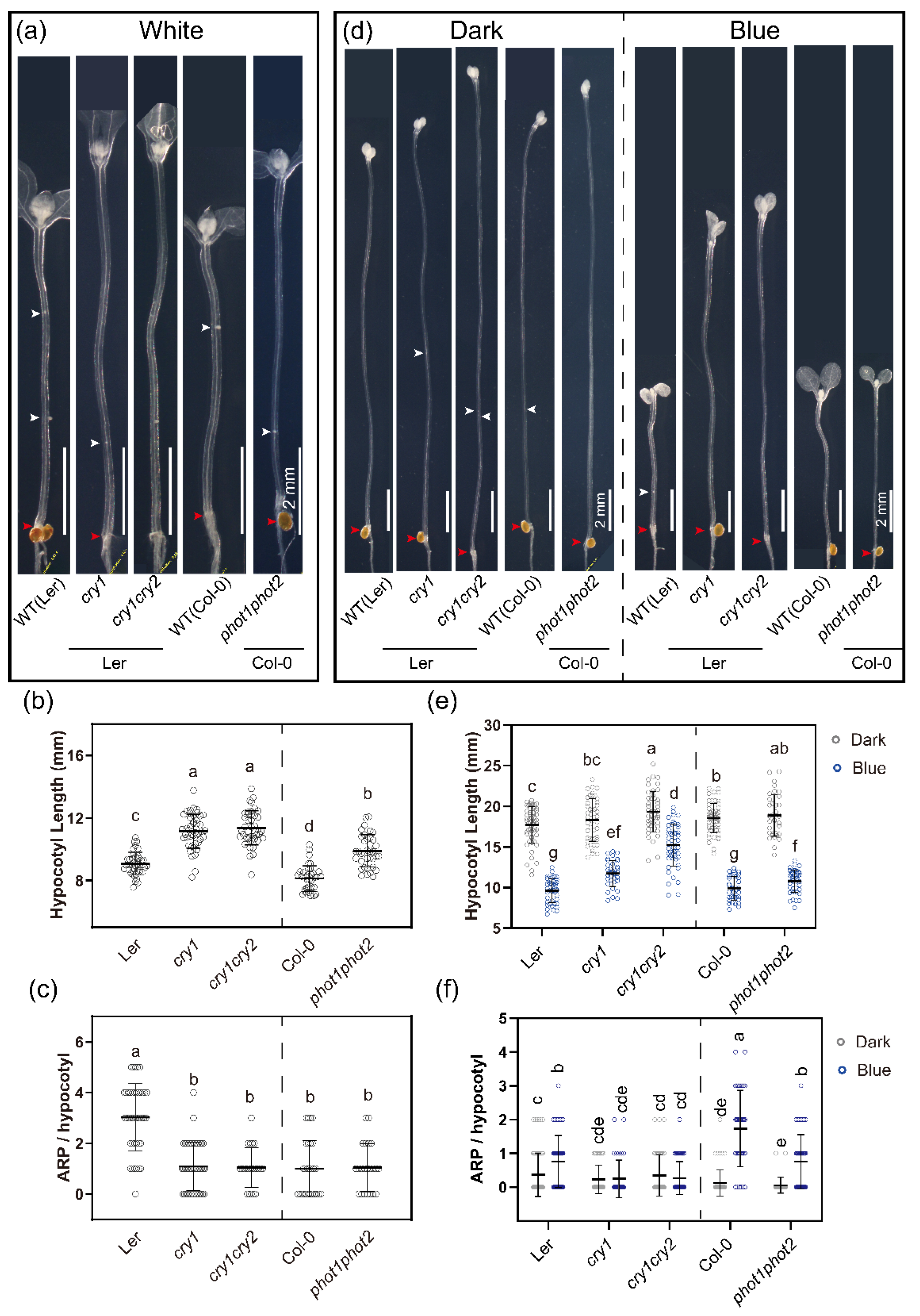 Ijms 23 05301 g003 Ijms 23 05301 g003