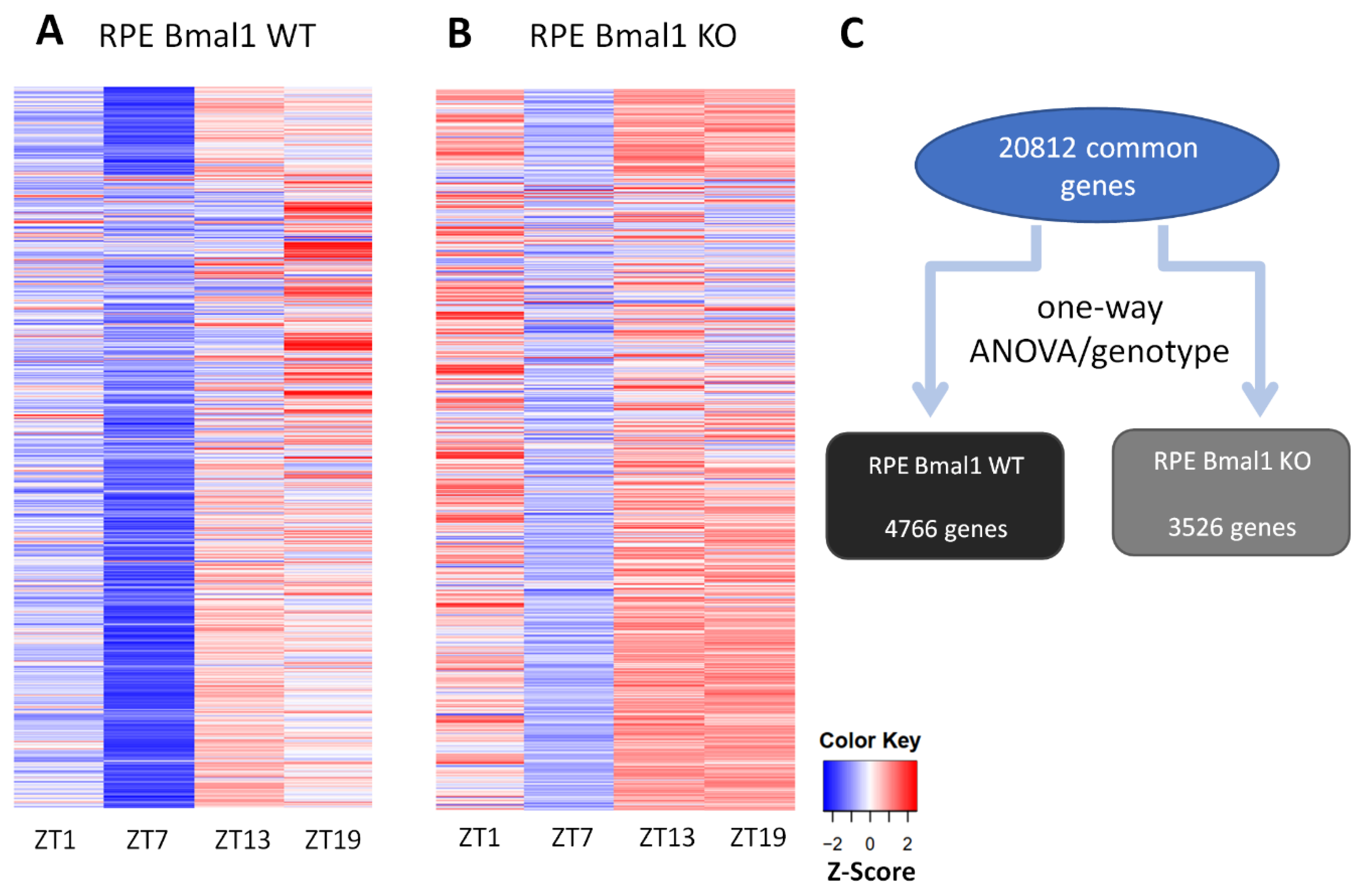 Ijms 23 05302 g004 550