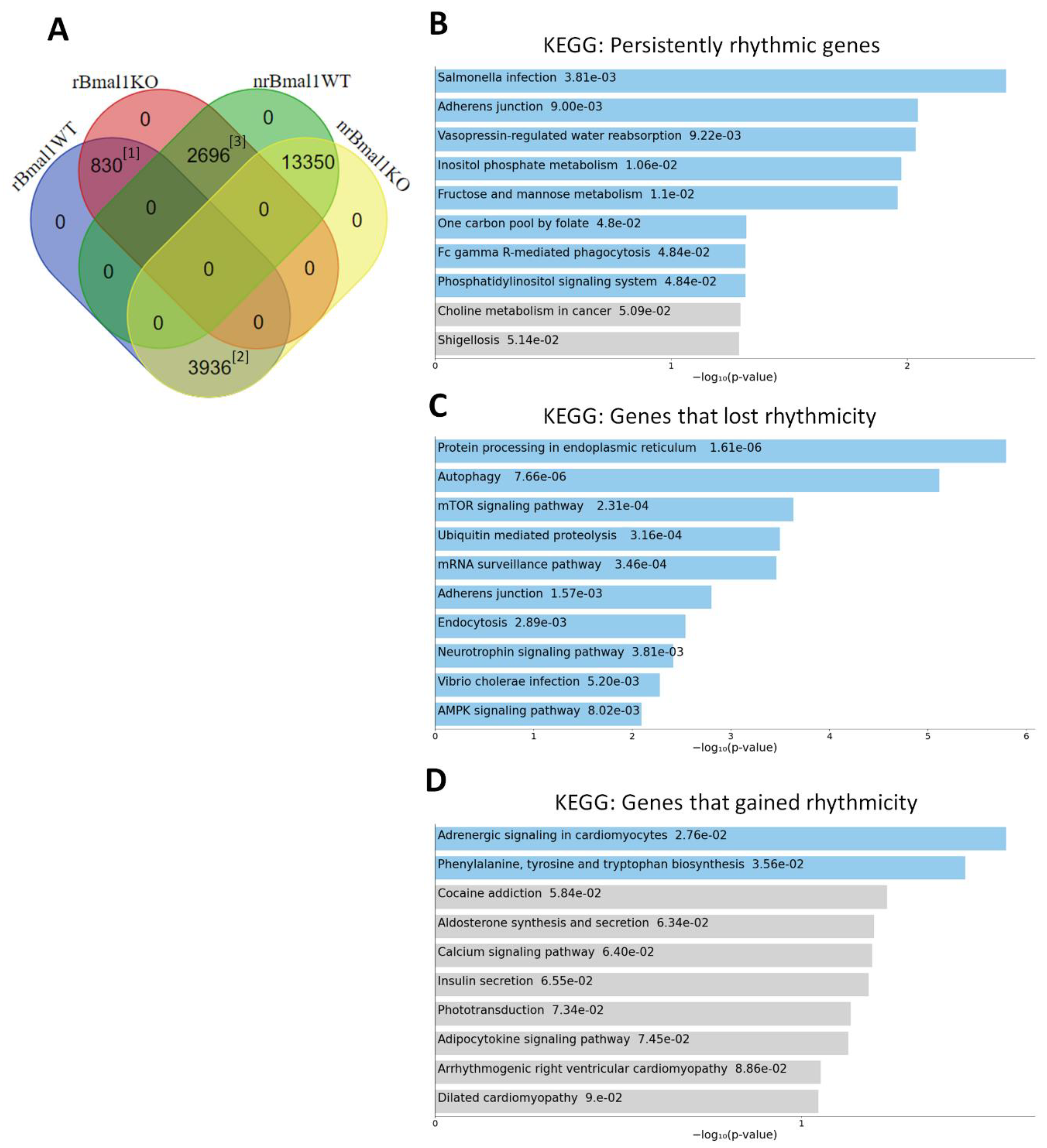 Ijms 23 05302 g005 550