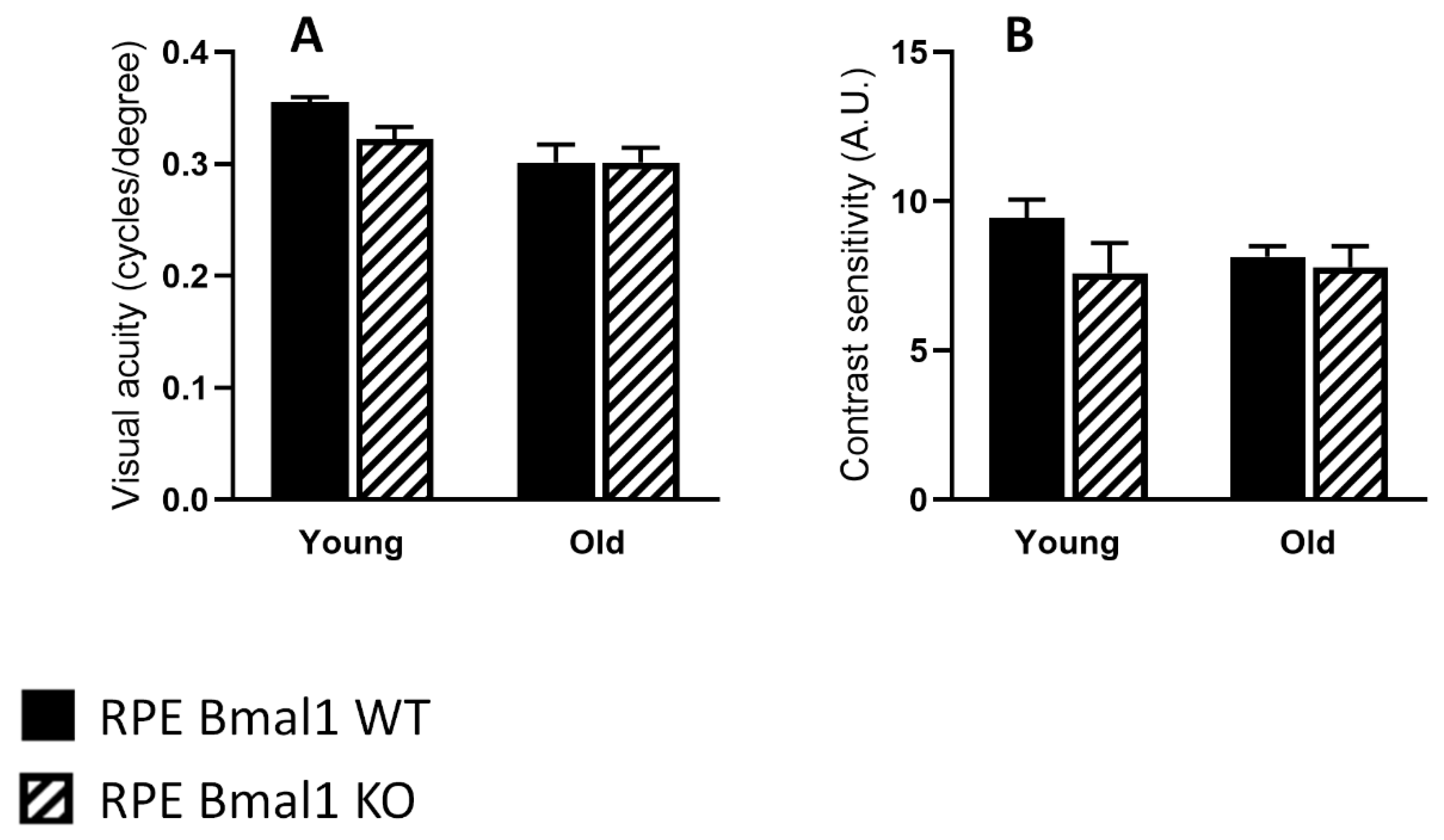 Ijms 23 05302 g008 550