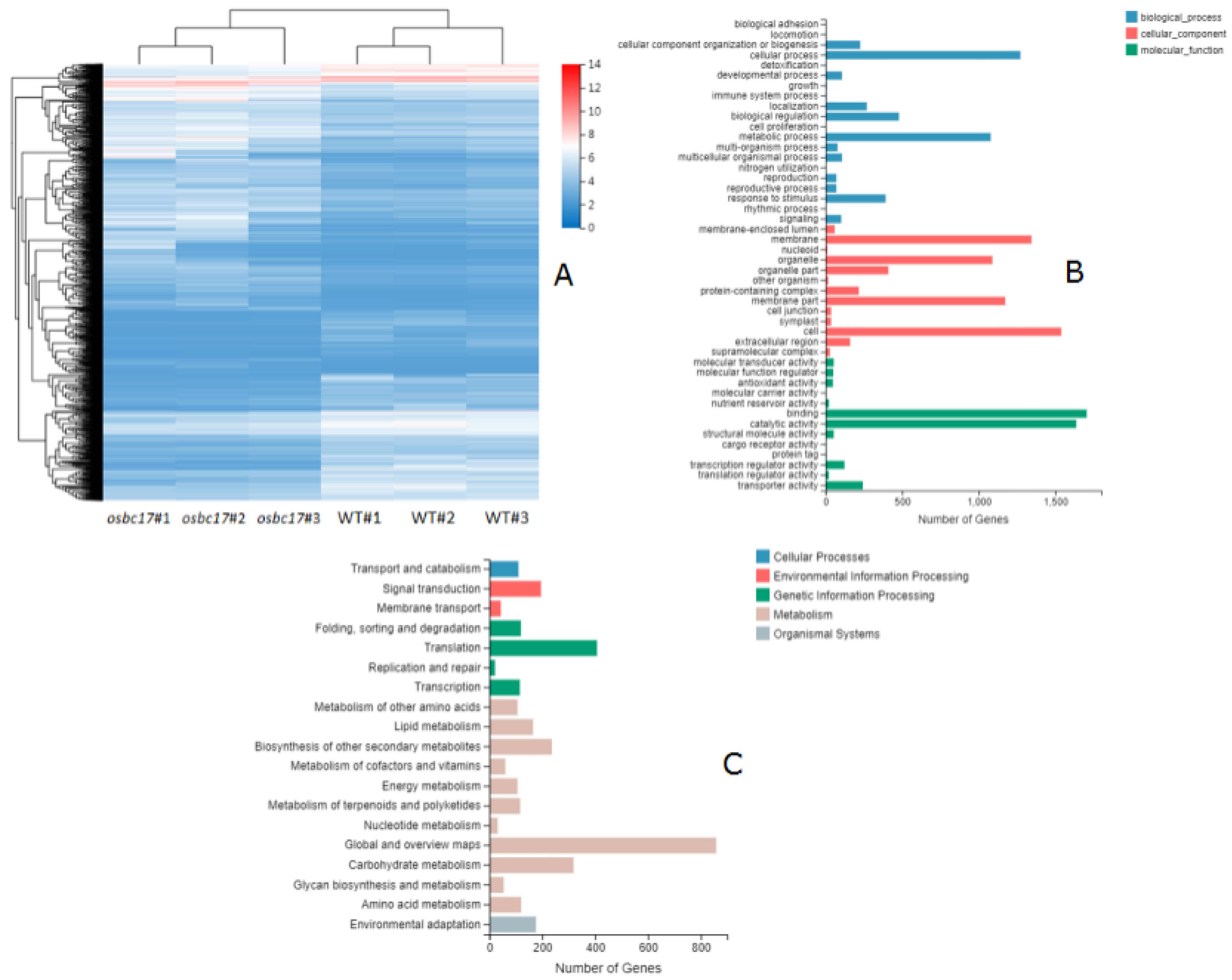 Ijms 23 05305 g007 550