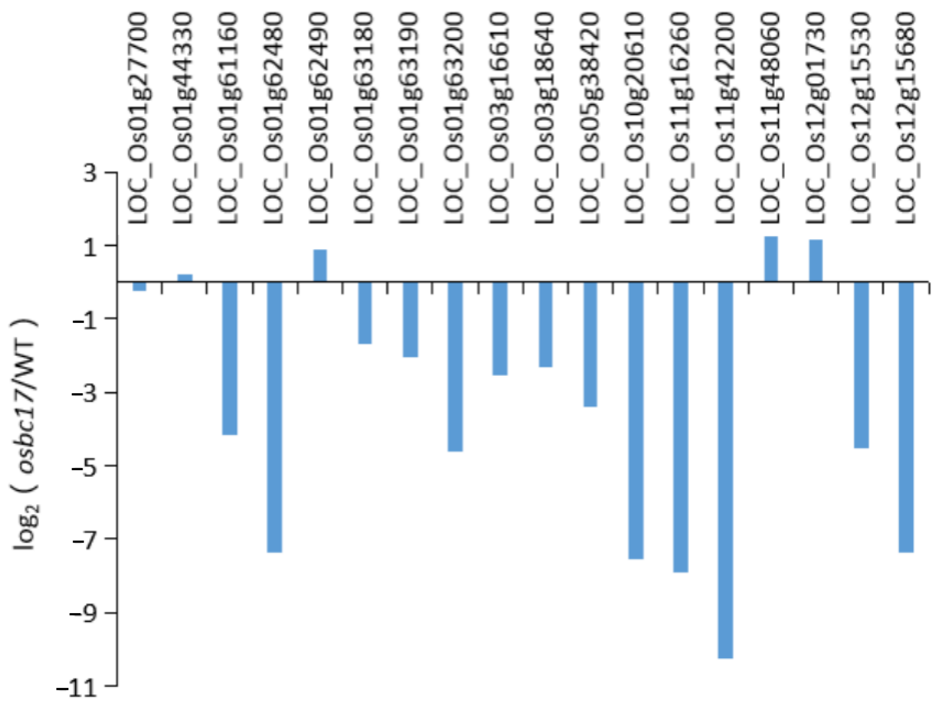 Ijms 23 05305 g008 550