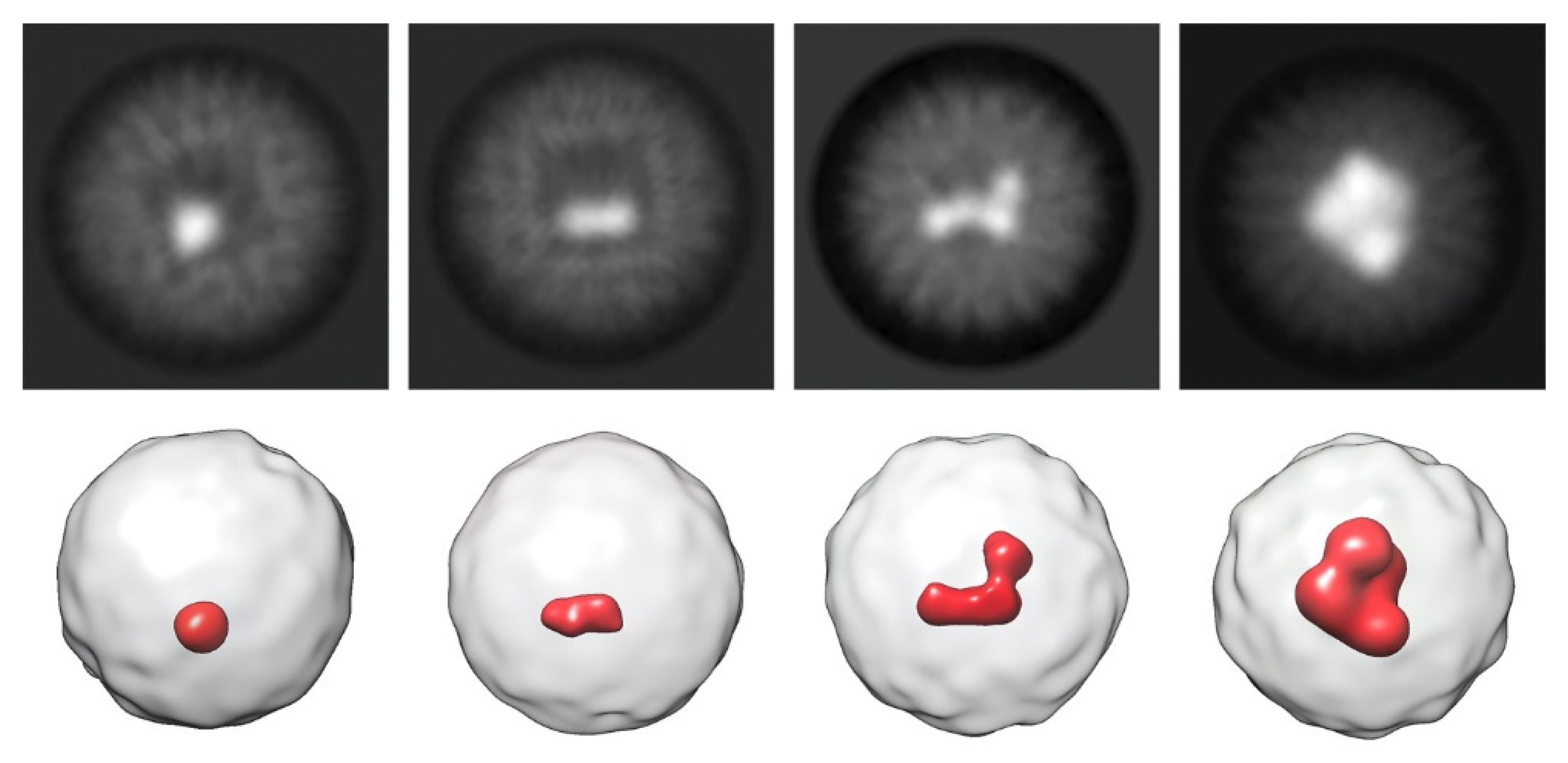 Ijms 23 05313 g003 Ijms 23 05313 g003