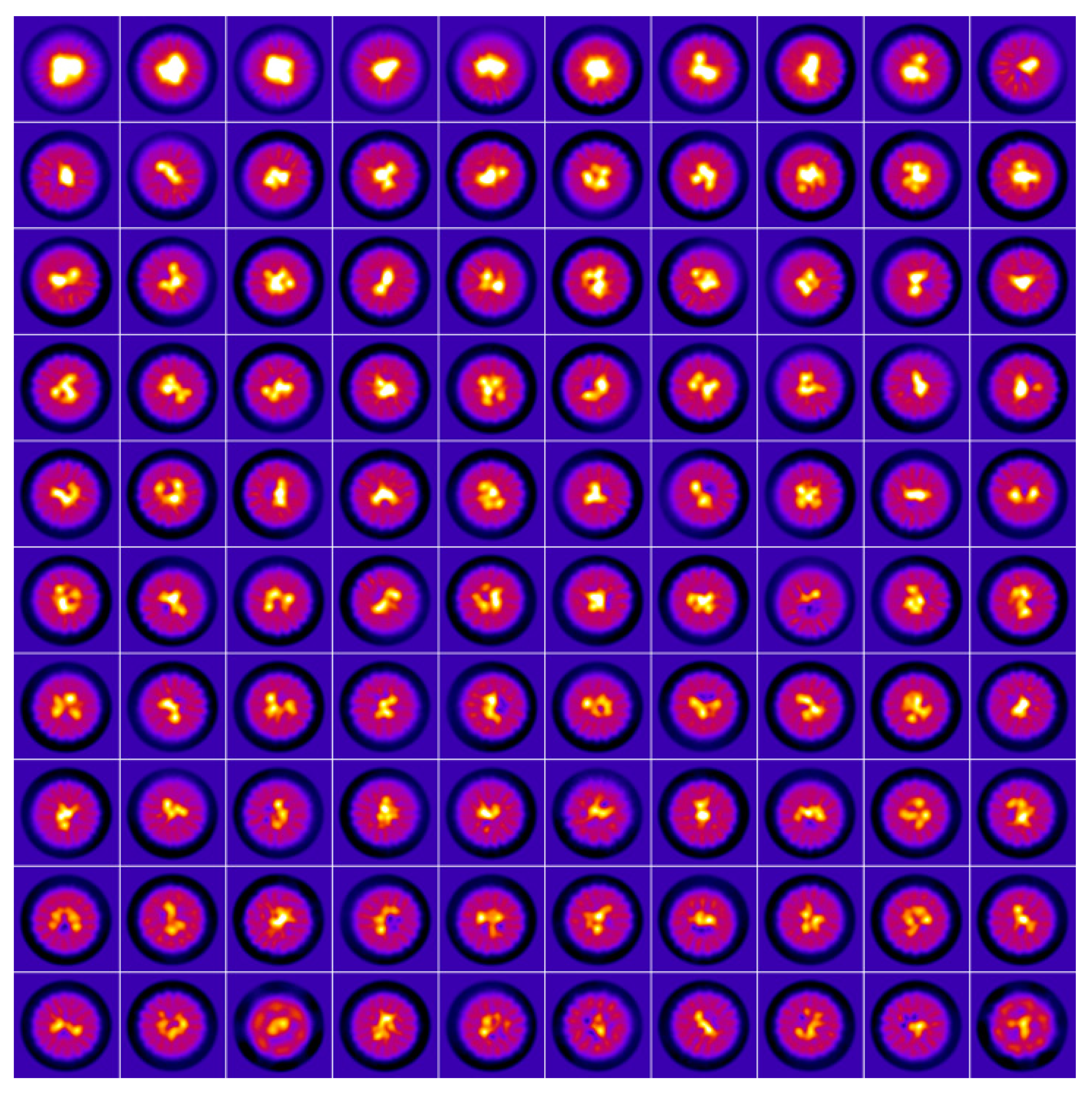 Ijms 23 05313 g004 Ijms 23 05313 g004