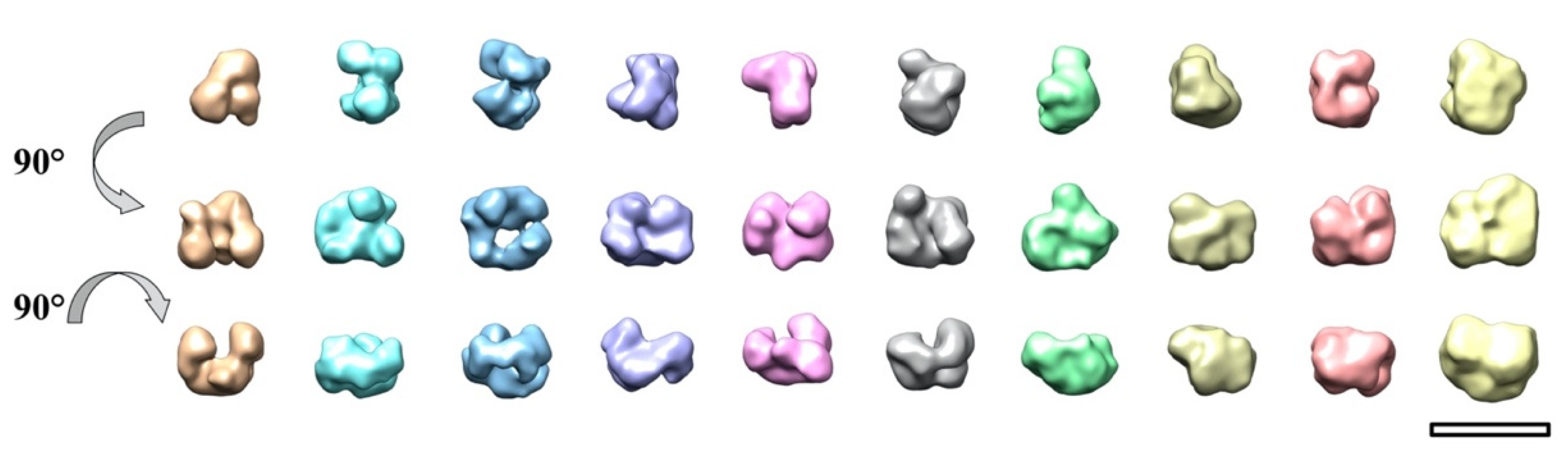 Ijms 23 05313 g0a5 Ijms 23 05313 g0a5