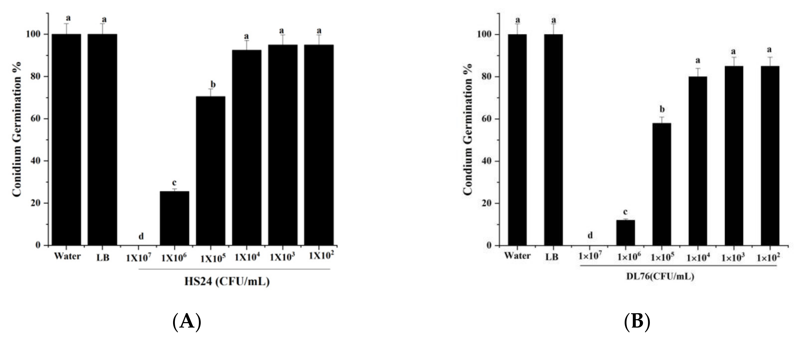 Ijms 23 05314 g004 Ijms 23 05314 g004