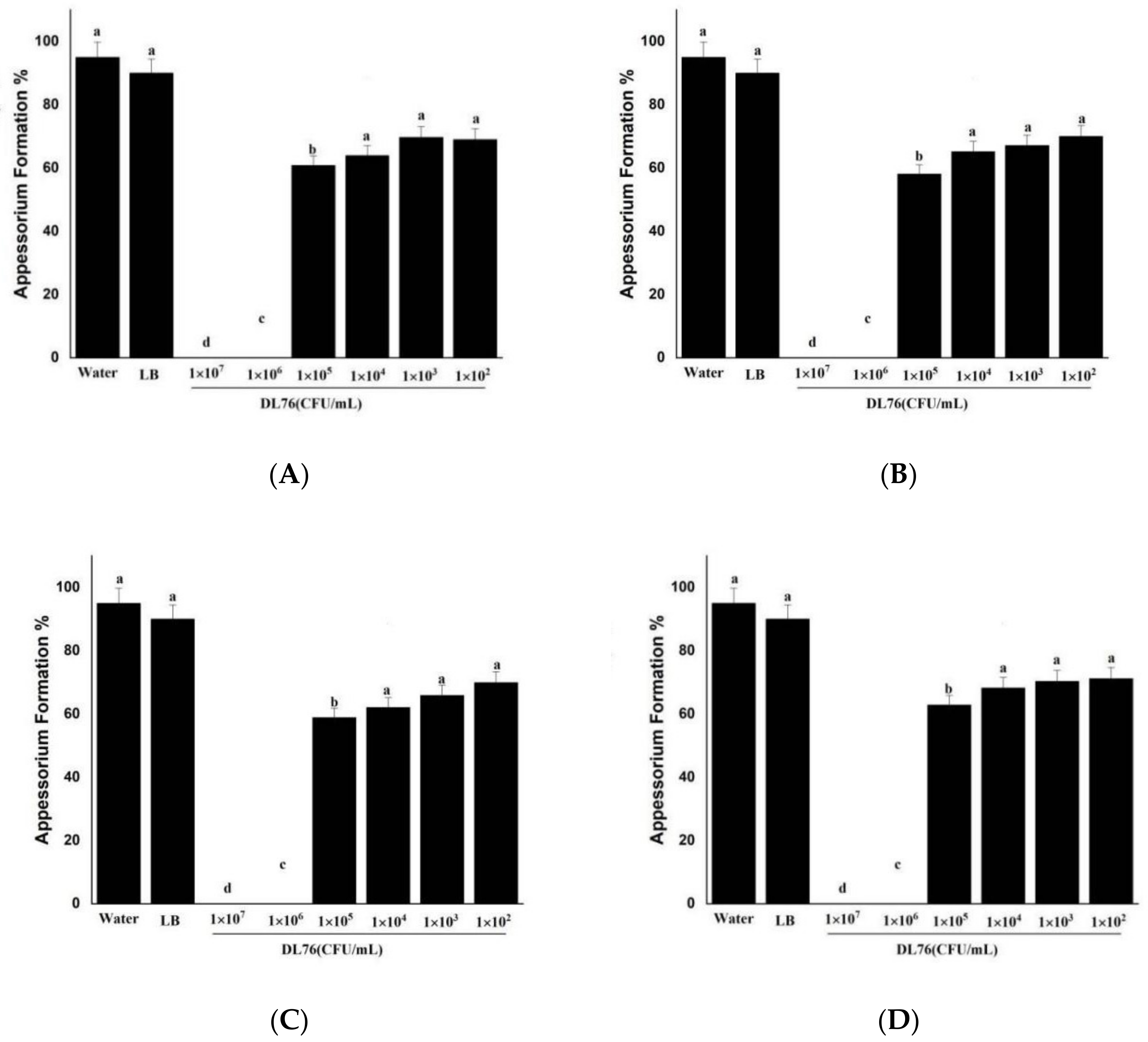Ijms 23 05314 g006 Ijms 23 05314 g006