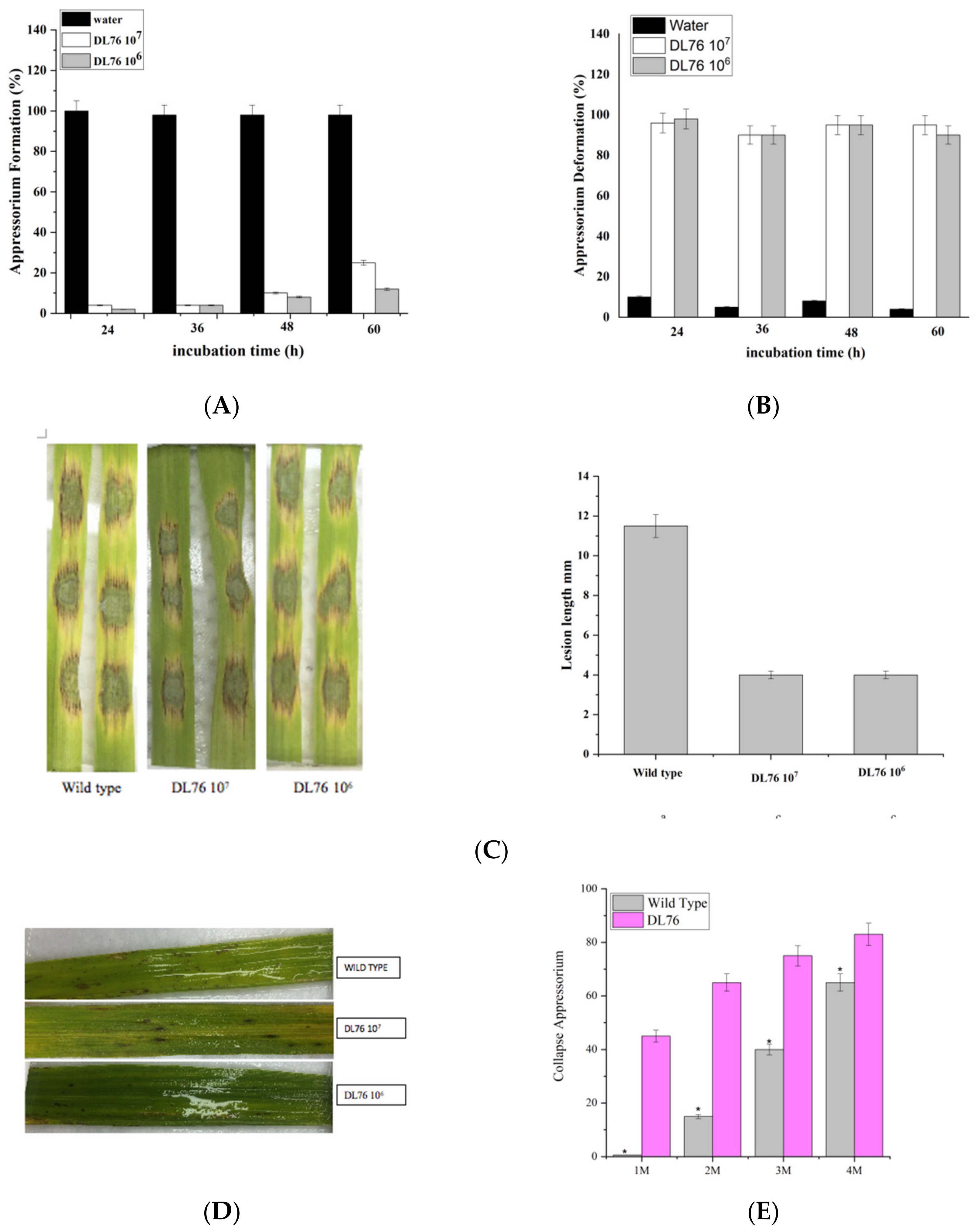 Ijms 23 05314 g009 Ijms 23 05314 g009