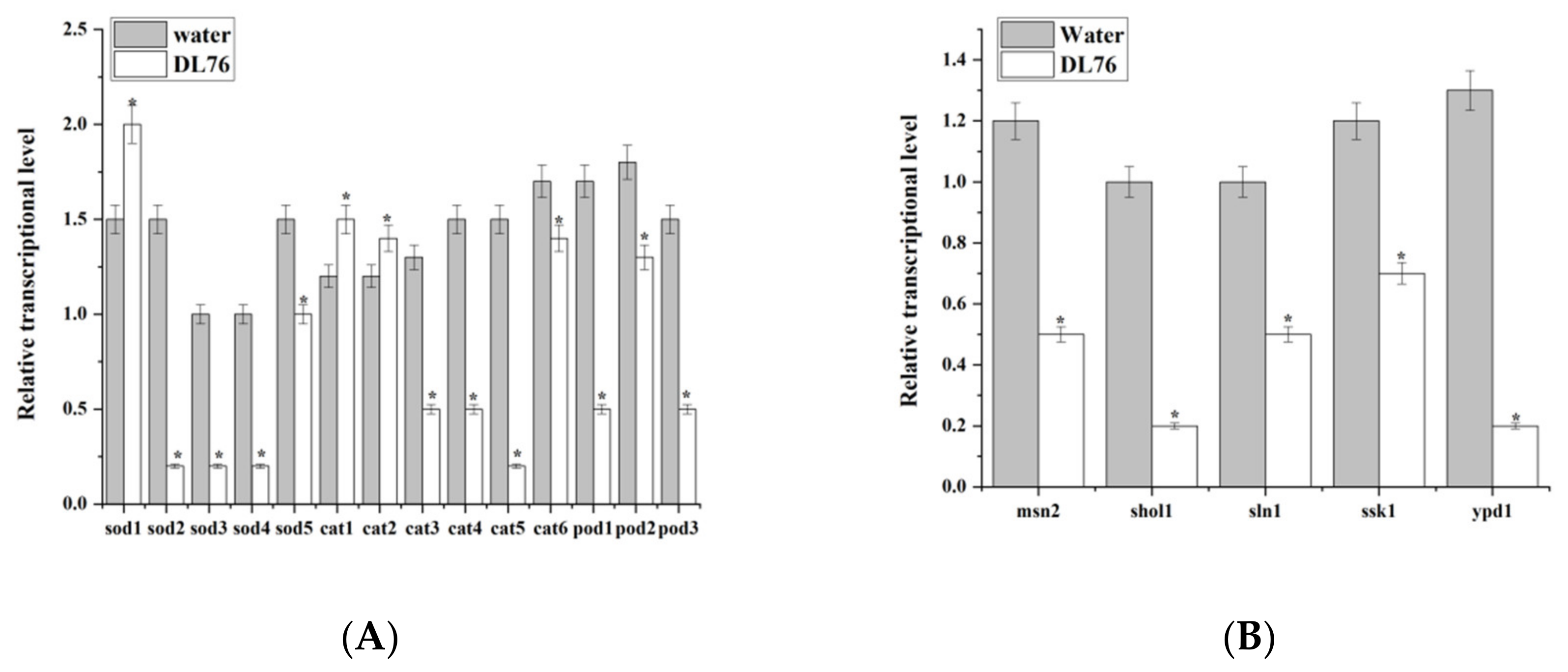 Ijms 23 05314 g010 Ijms 23 05314 g010