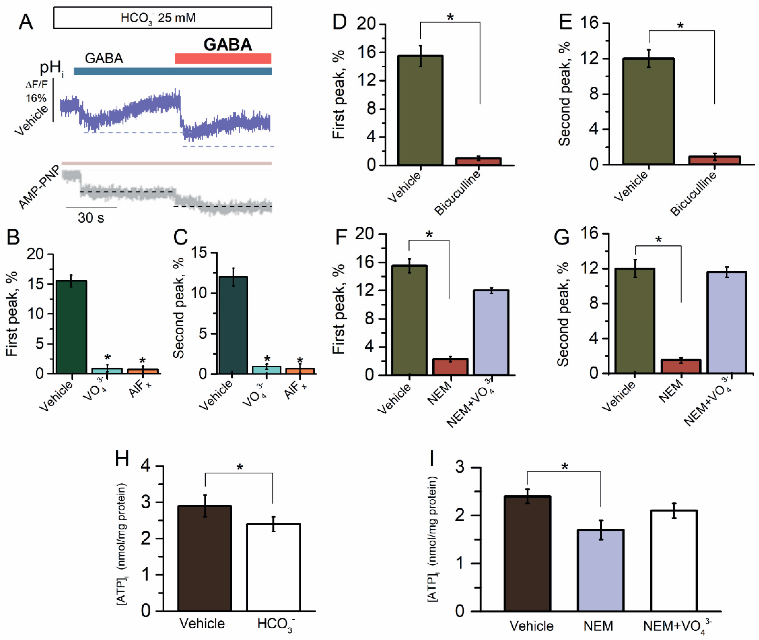 Ijms 23 05320 g003 Ijms 23 05320 g003