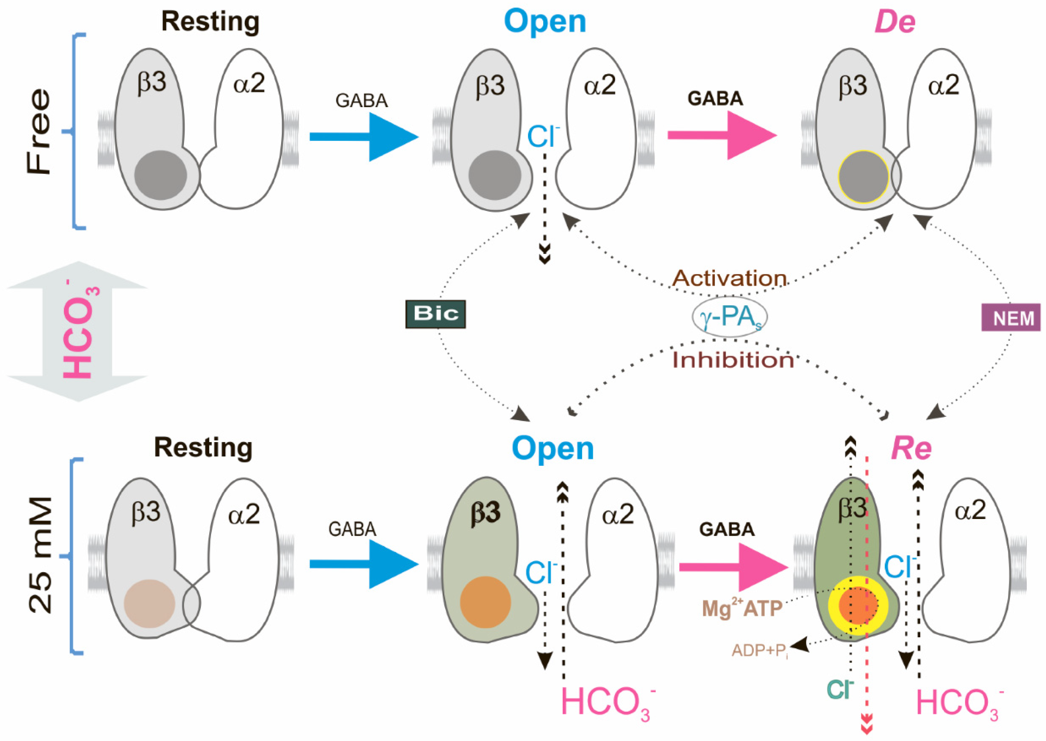 Ijms 23 05320 g006 Ijms 23 05320 g006