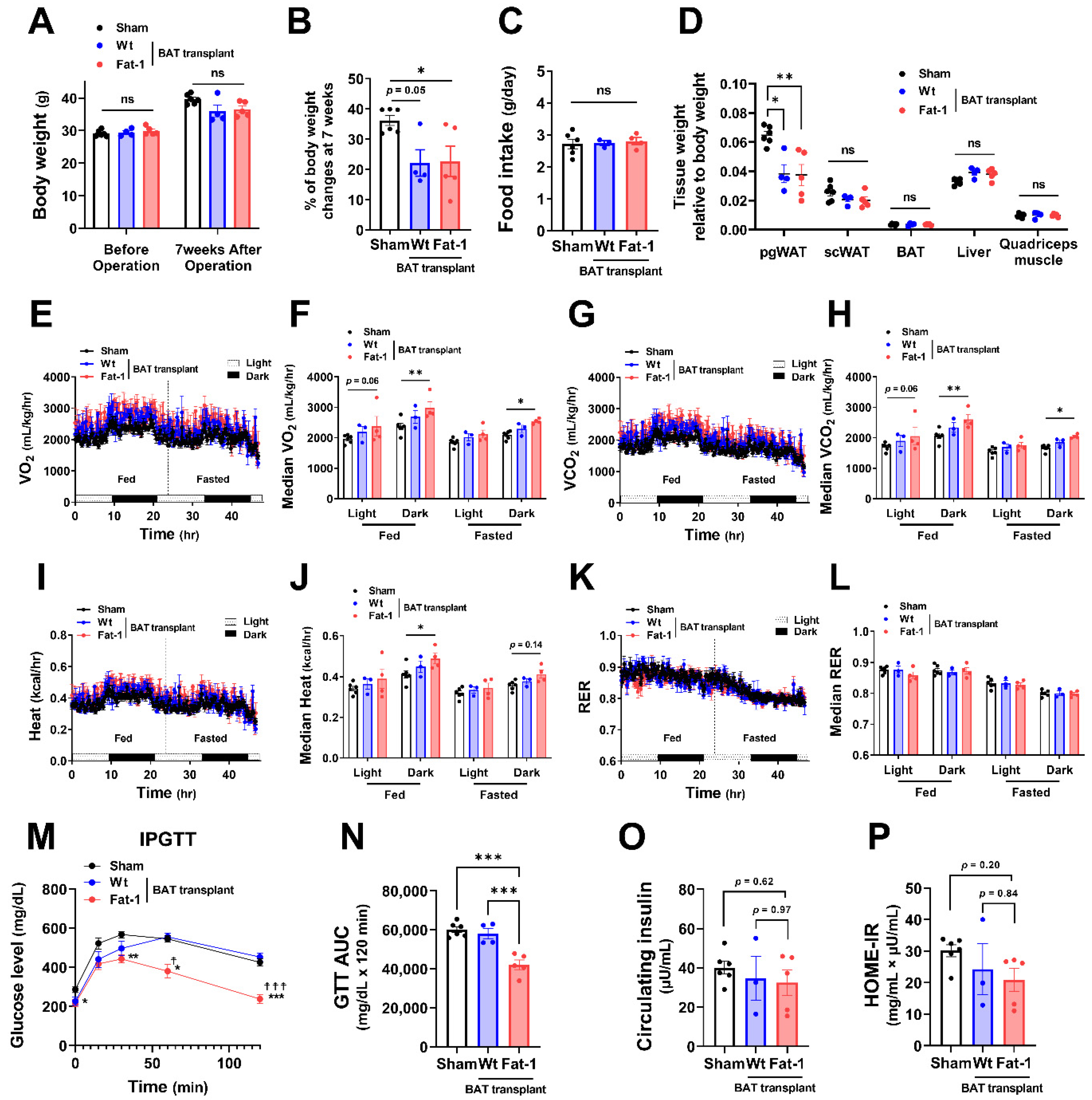 Ijms 23 05321 g002 550