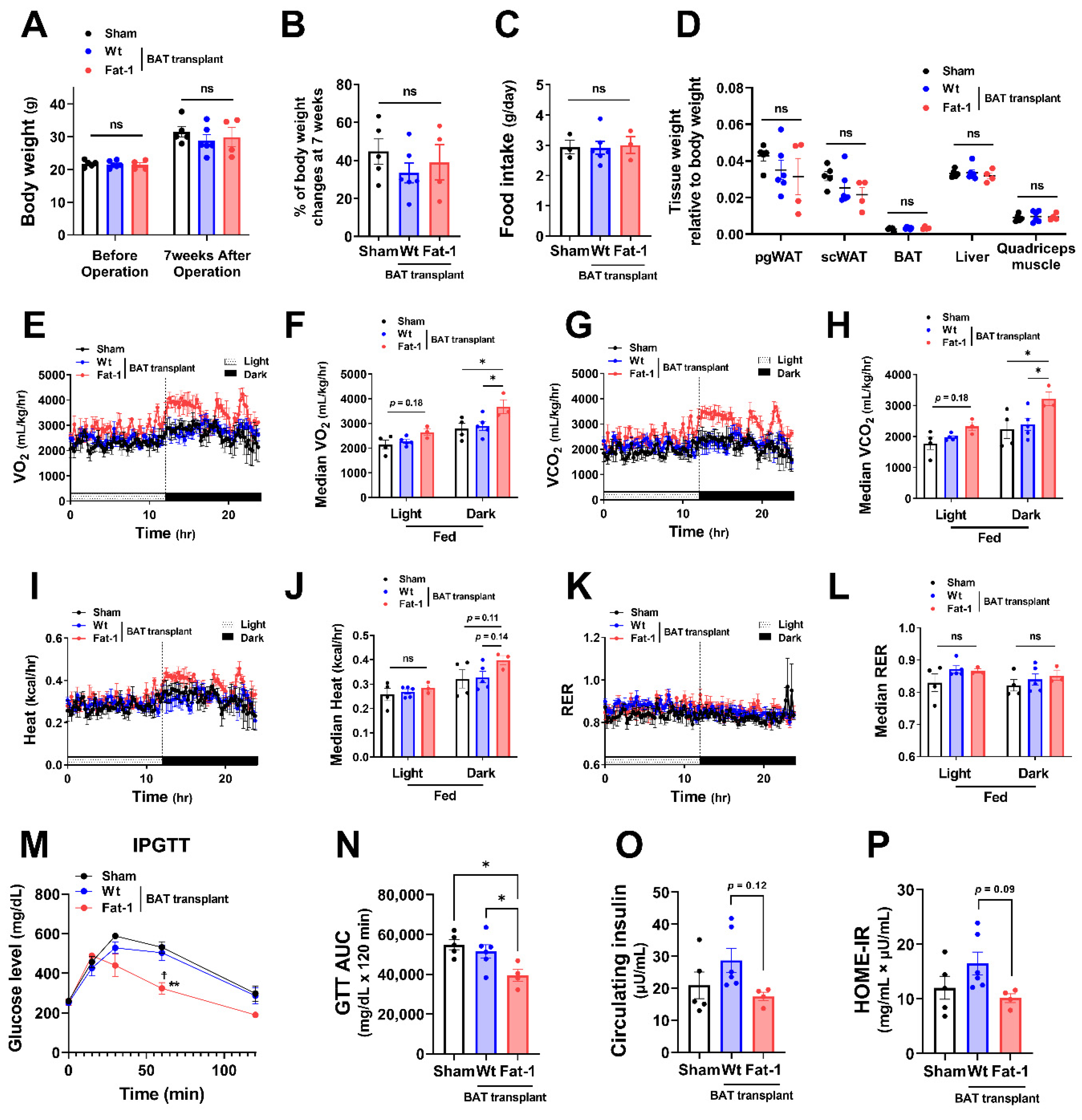 Ijms 23 05321 g003 550