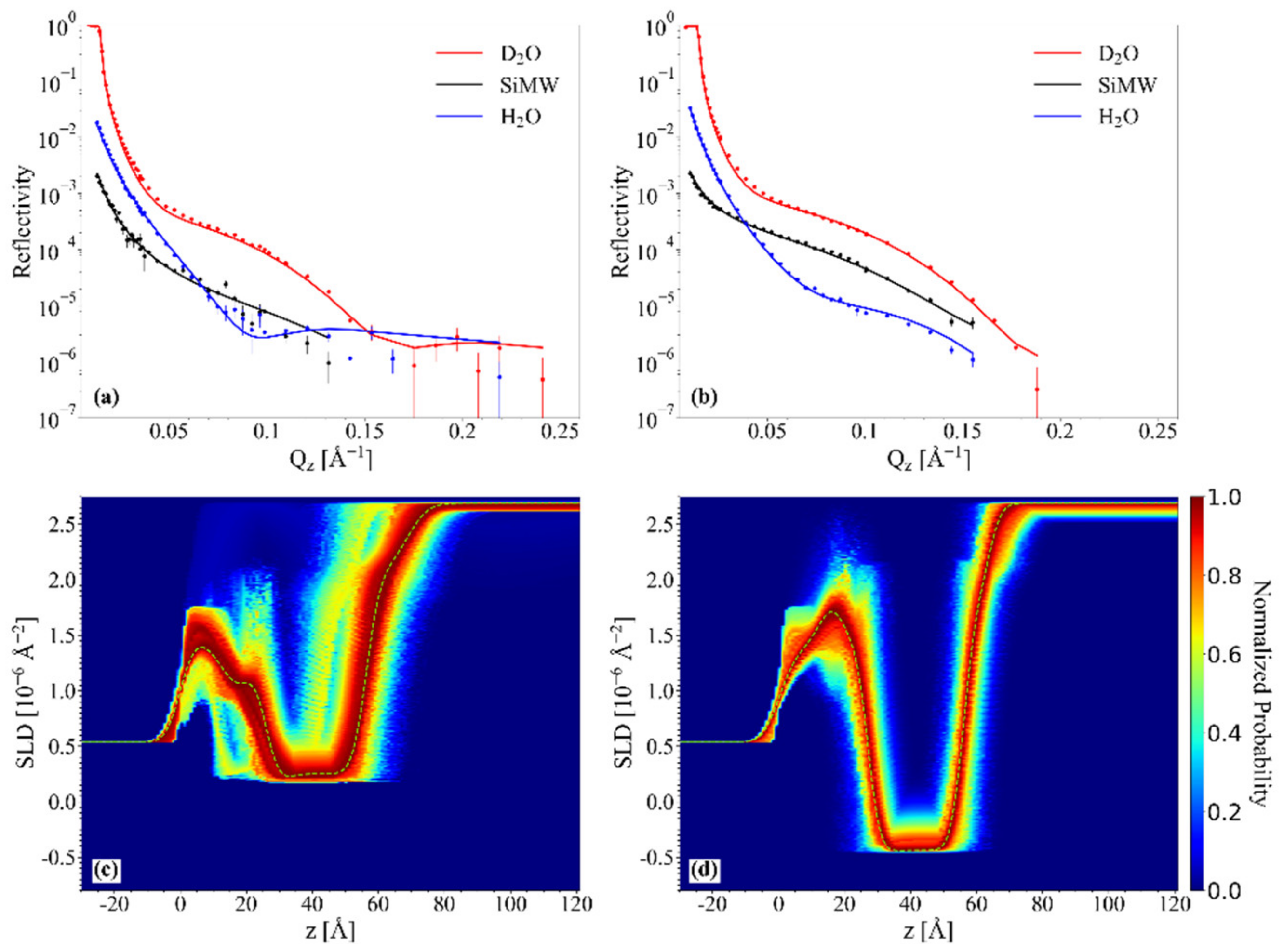 Ijms 23 05322 g007 Ijms 23 05322 g007