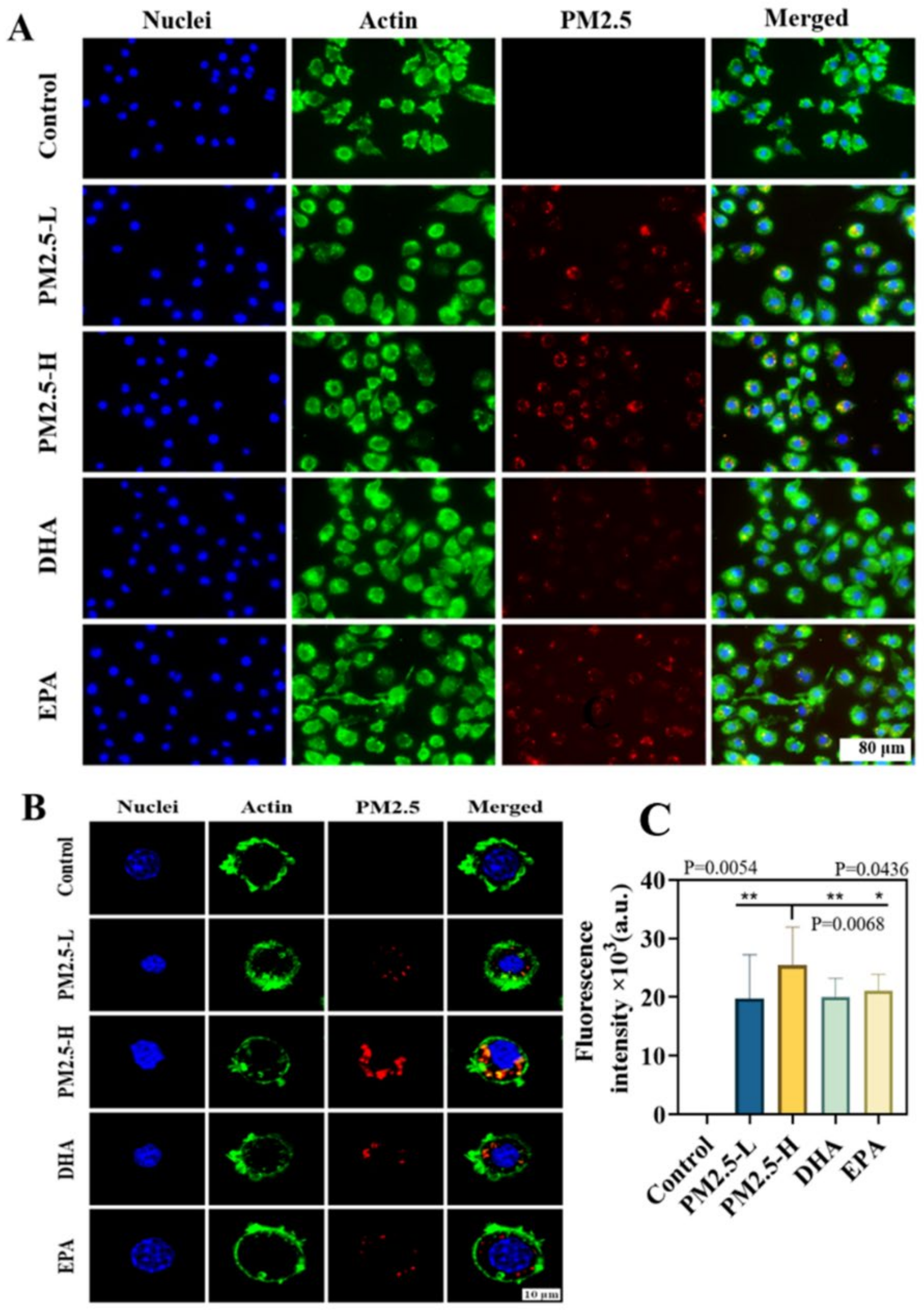 Ijms 23 05323 g001 550