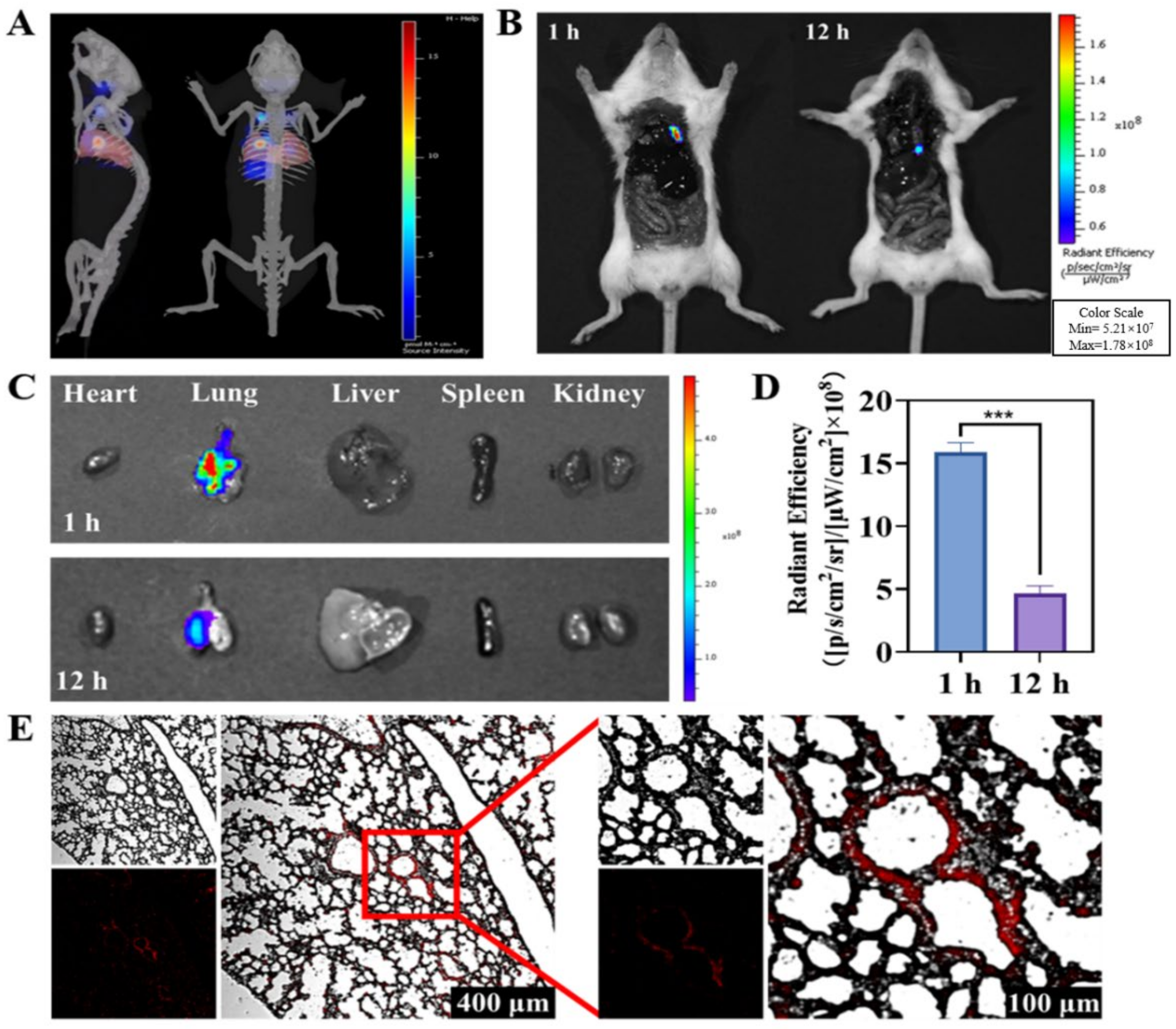 Ijms 23 05323 g002 550