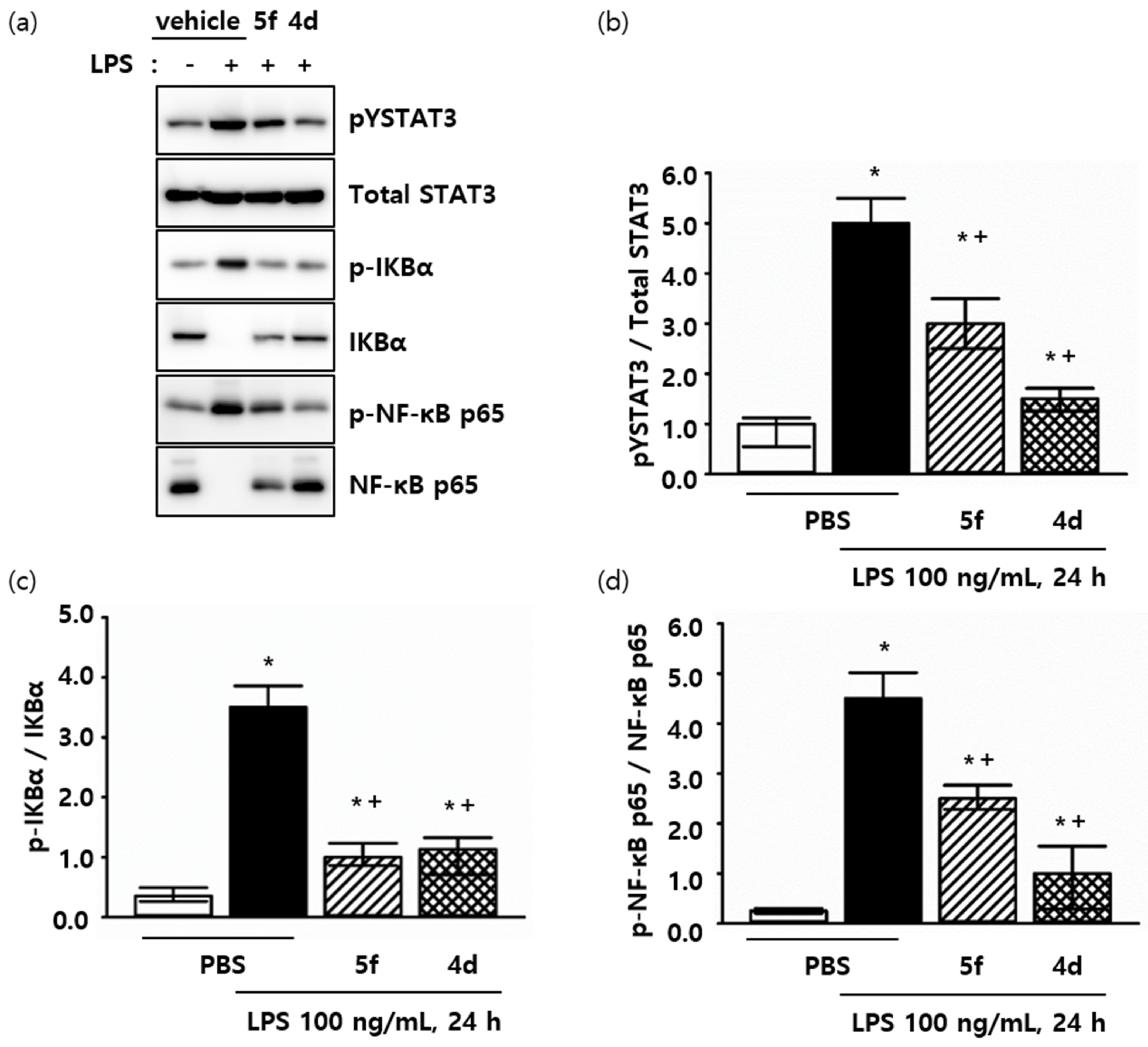 Ijms 23 05331 g002 550