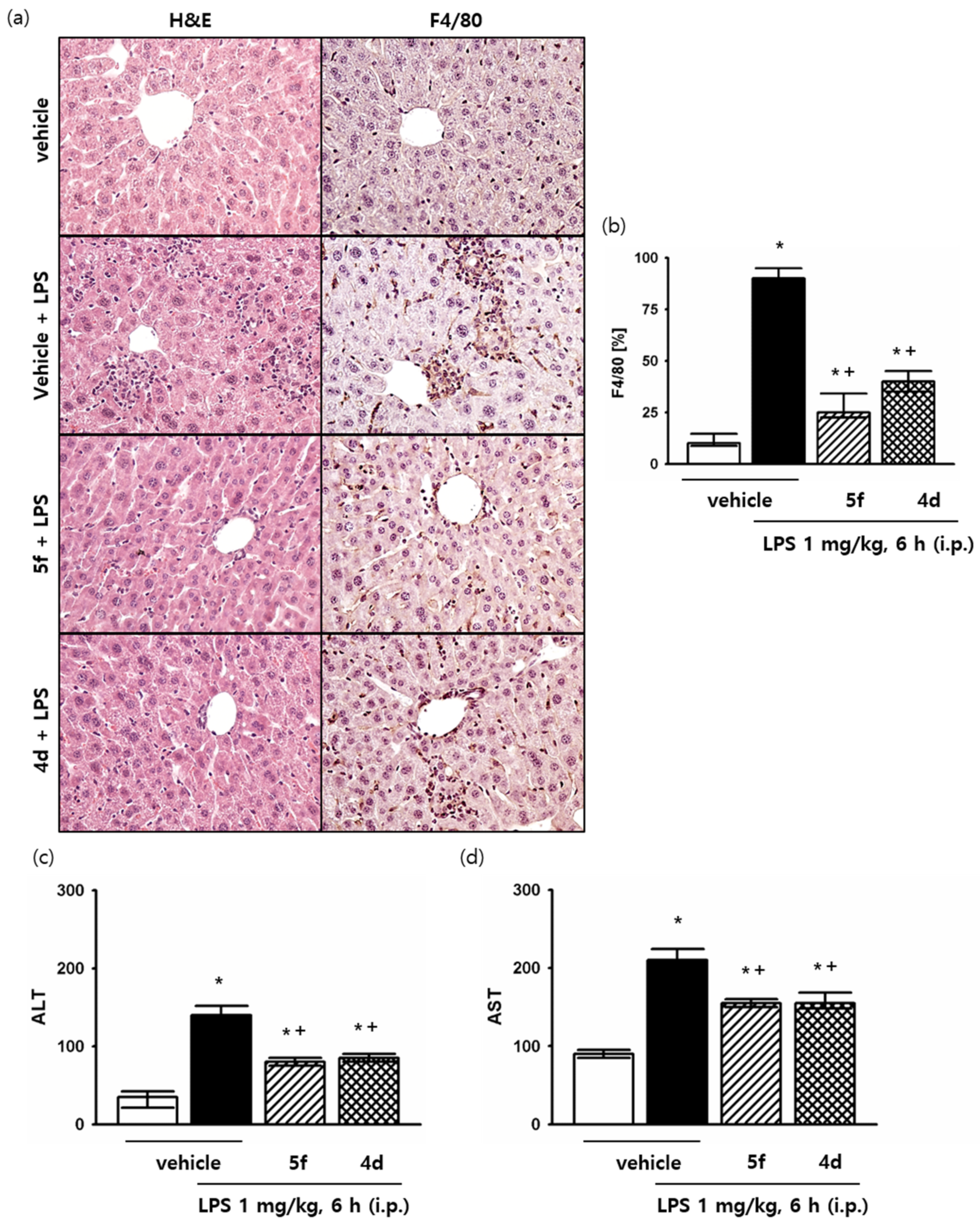 Ijms 23 05331 g004 550