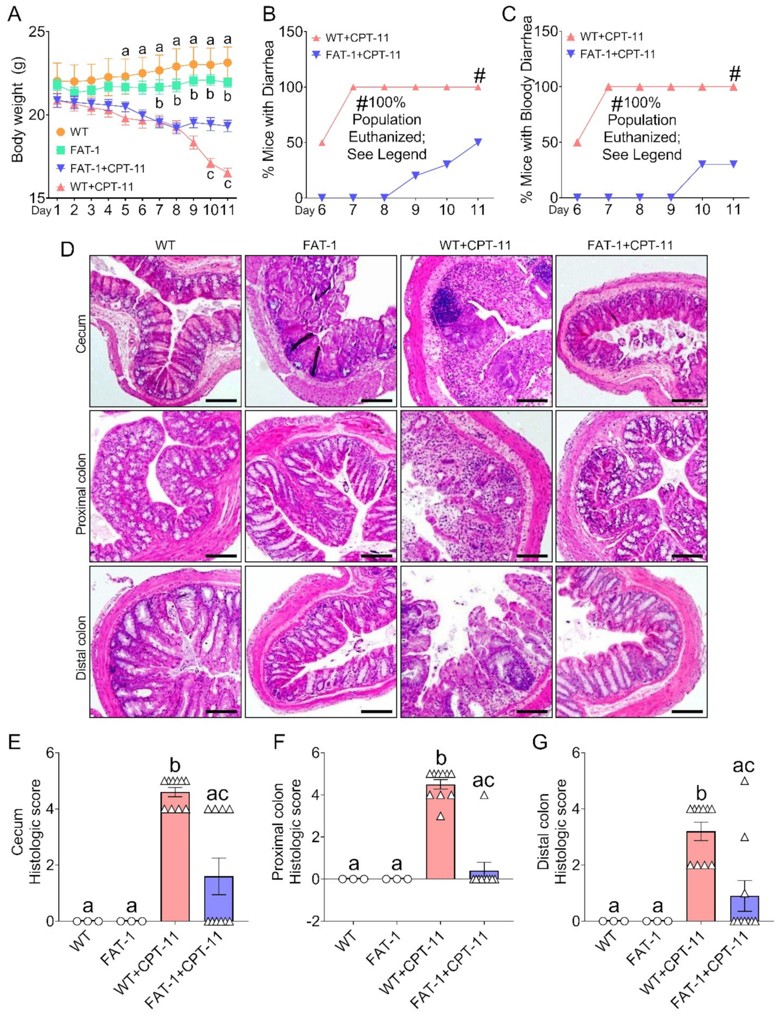 Ijms 23 05332 g001 550