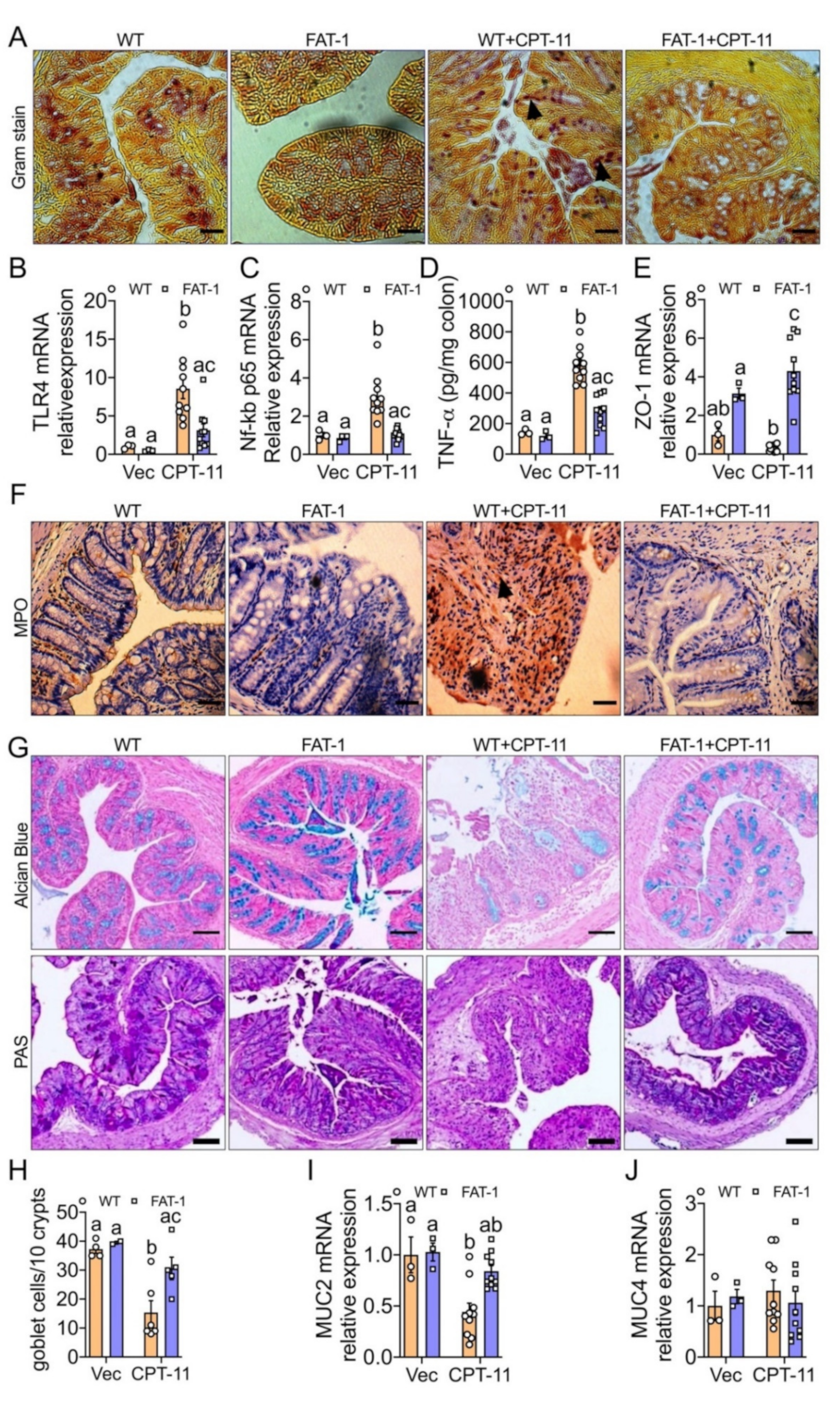 Ijms 23 05332 g003 550