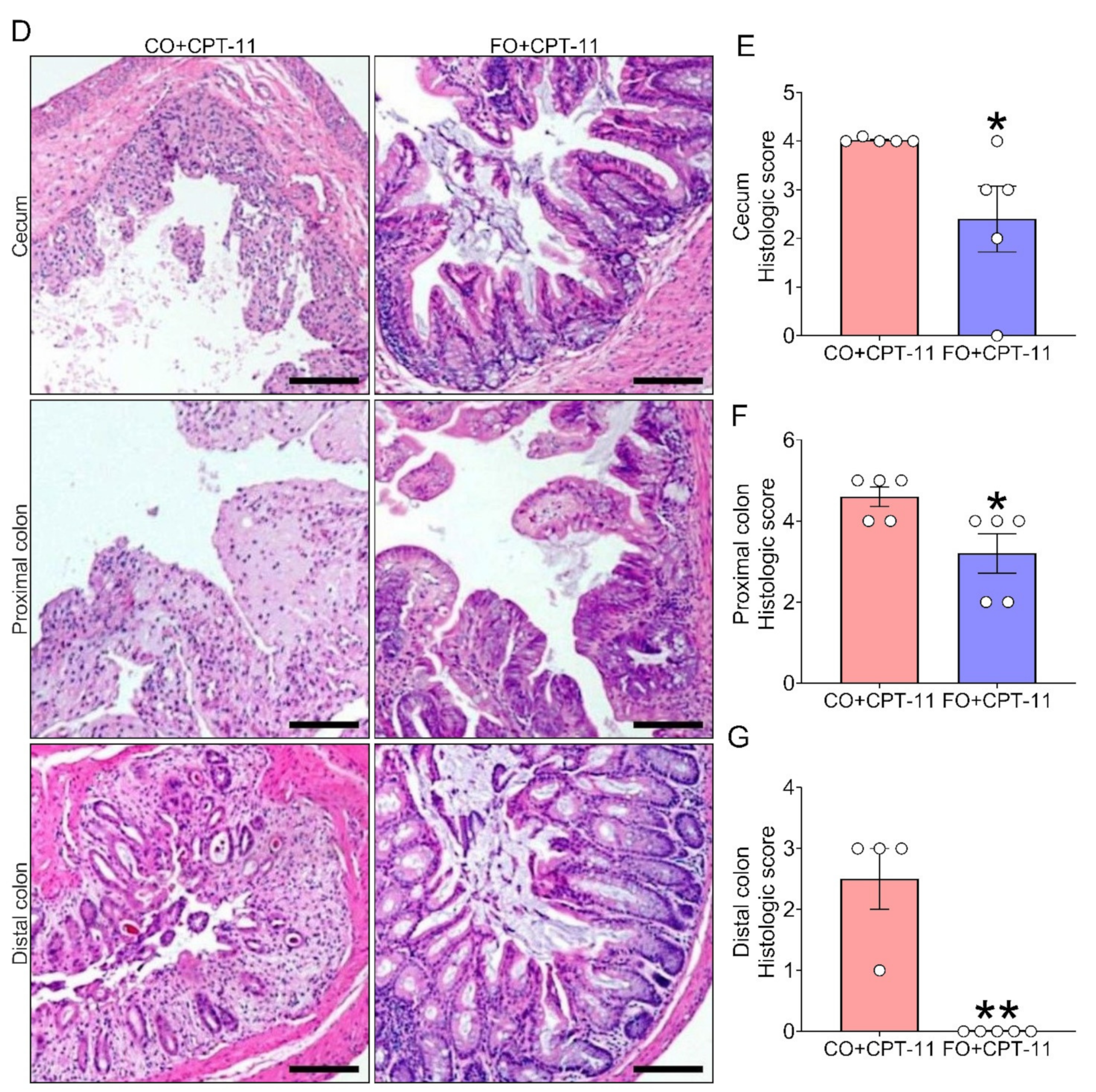 Ijms 23 05332 g004b 550