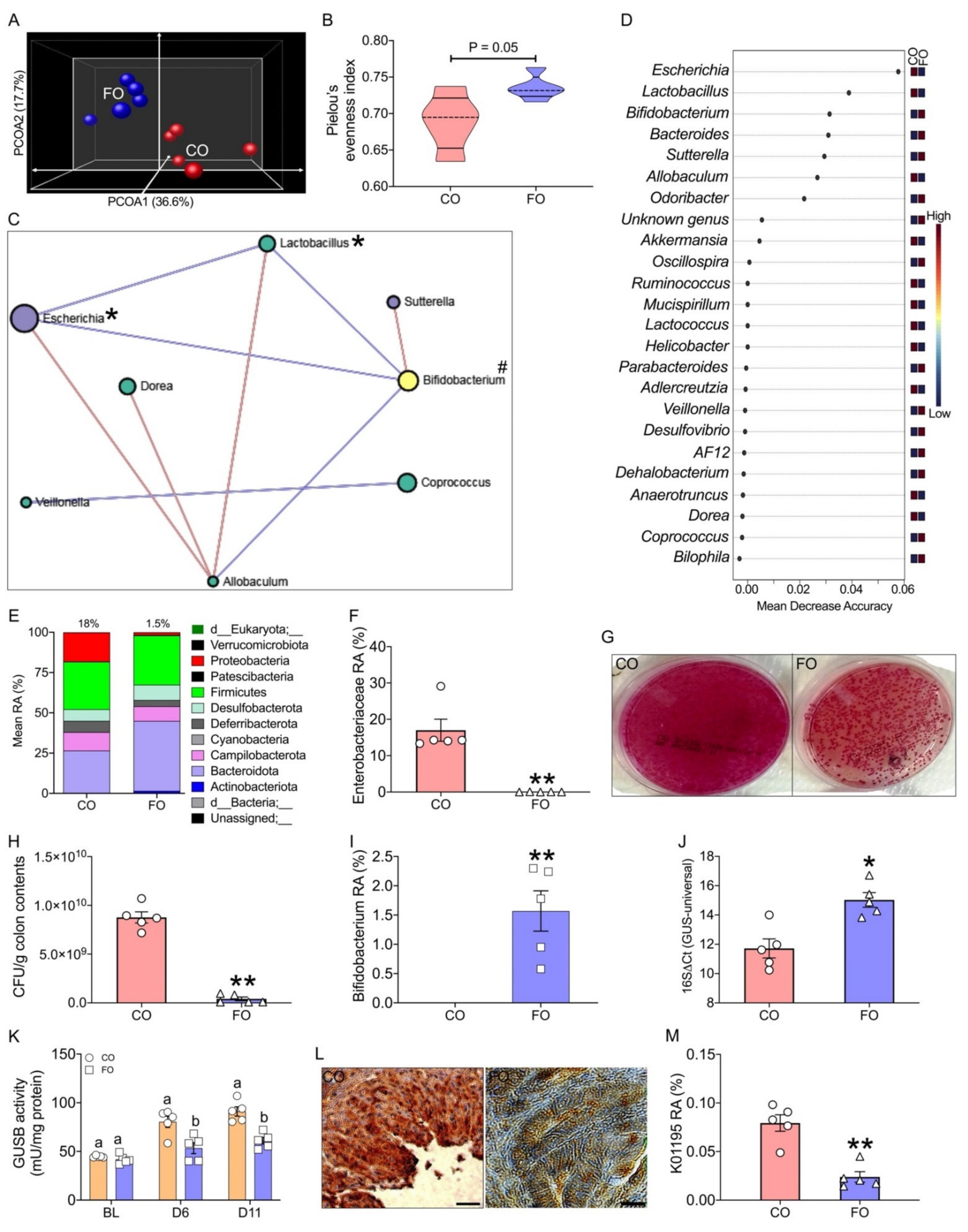Ijms 23 05332 g005 550