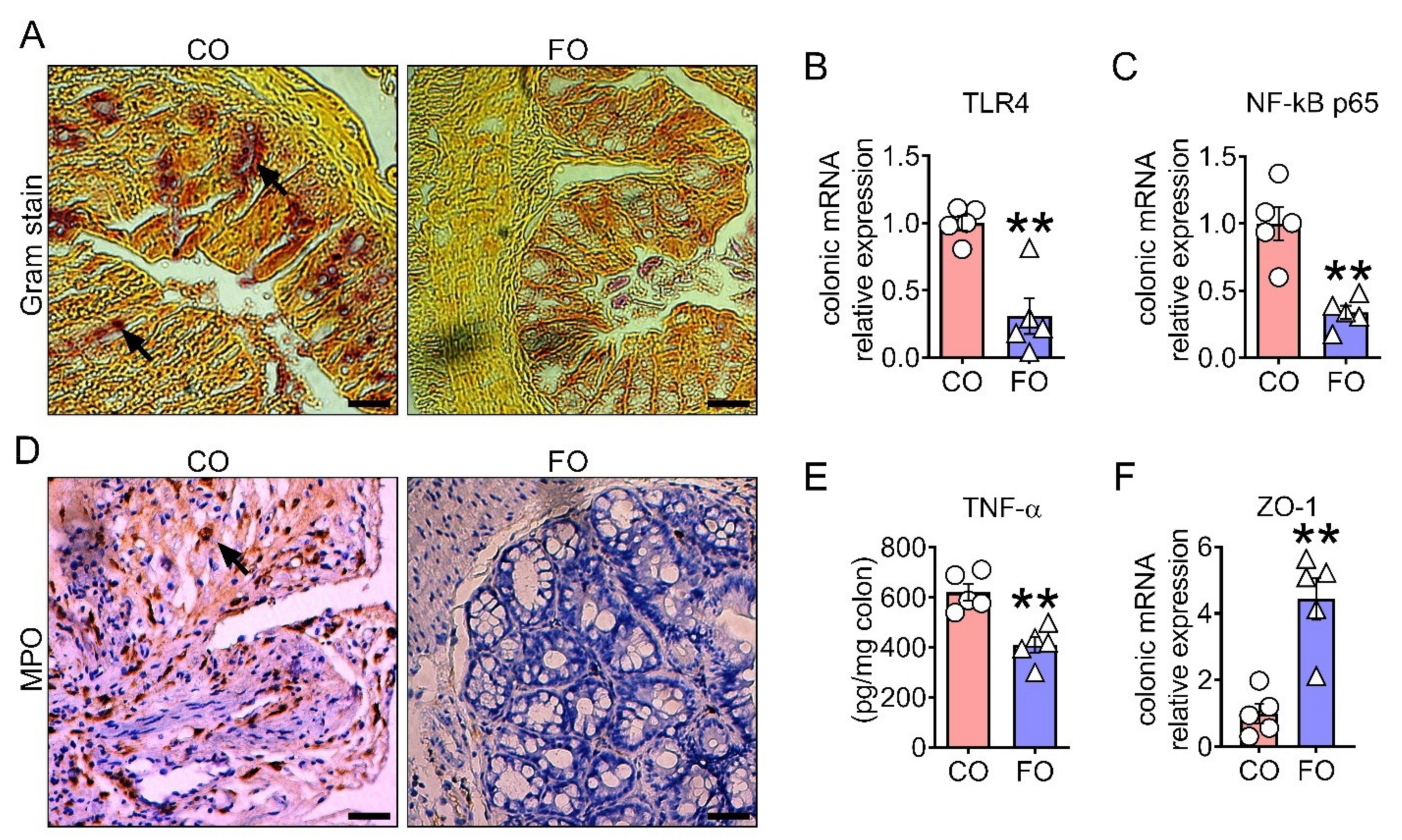 Ijms 23 05332 g006a 550