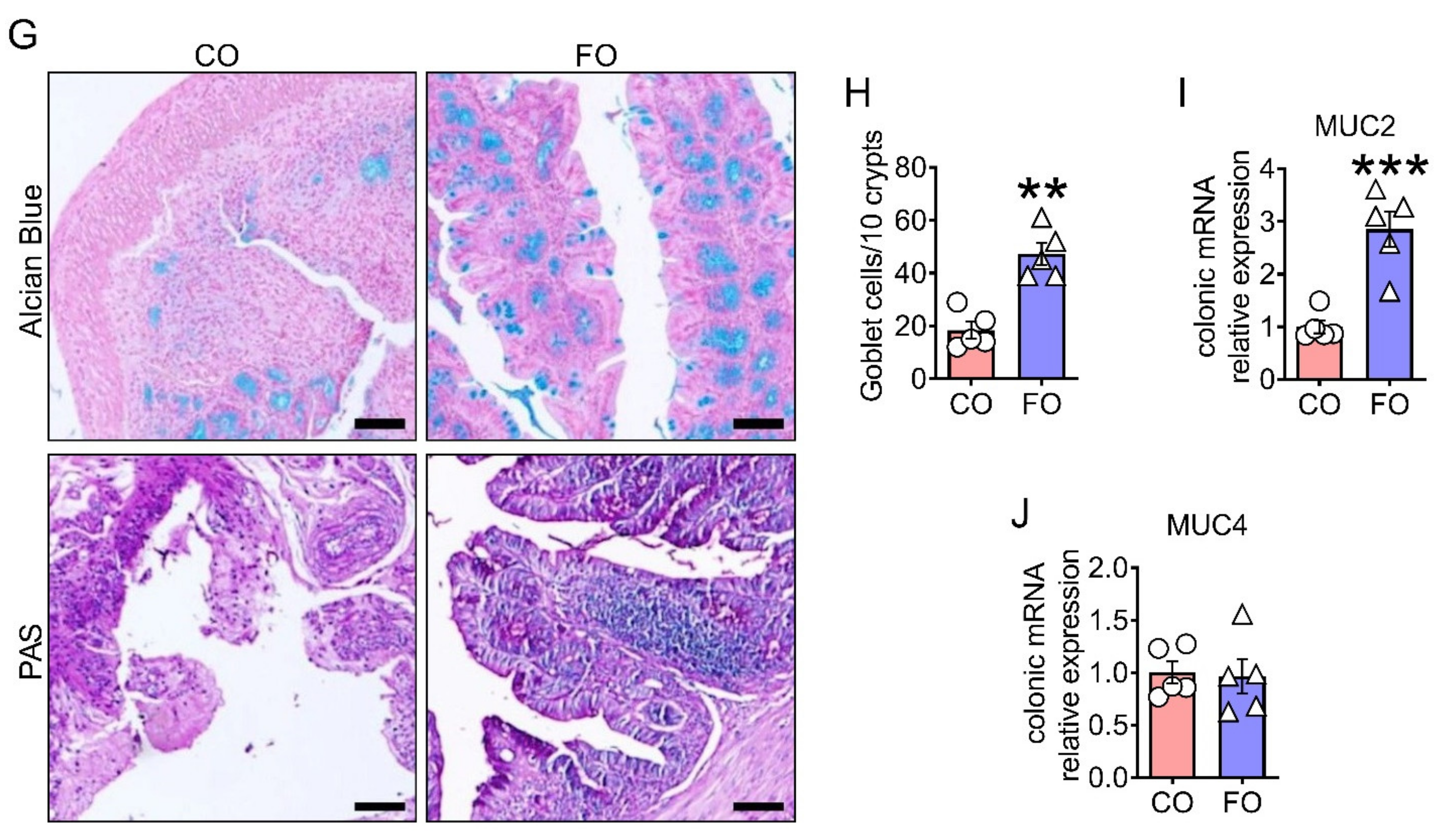 Ijms 23 05332 g006b 550