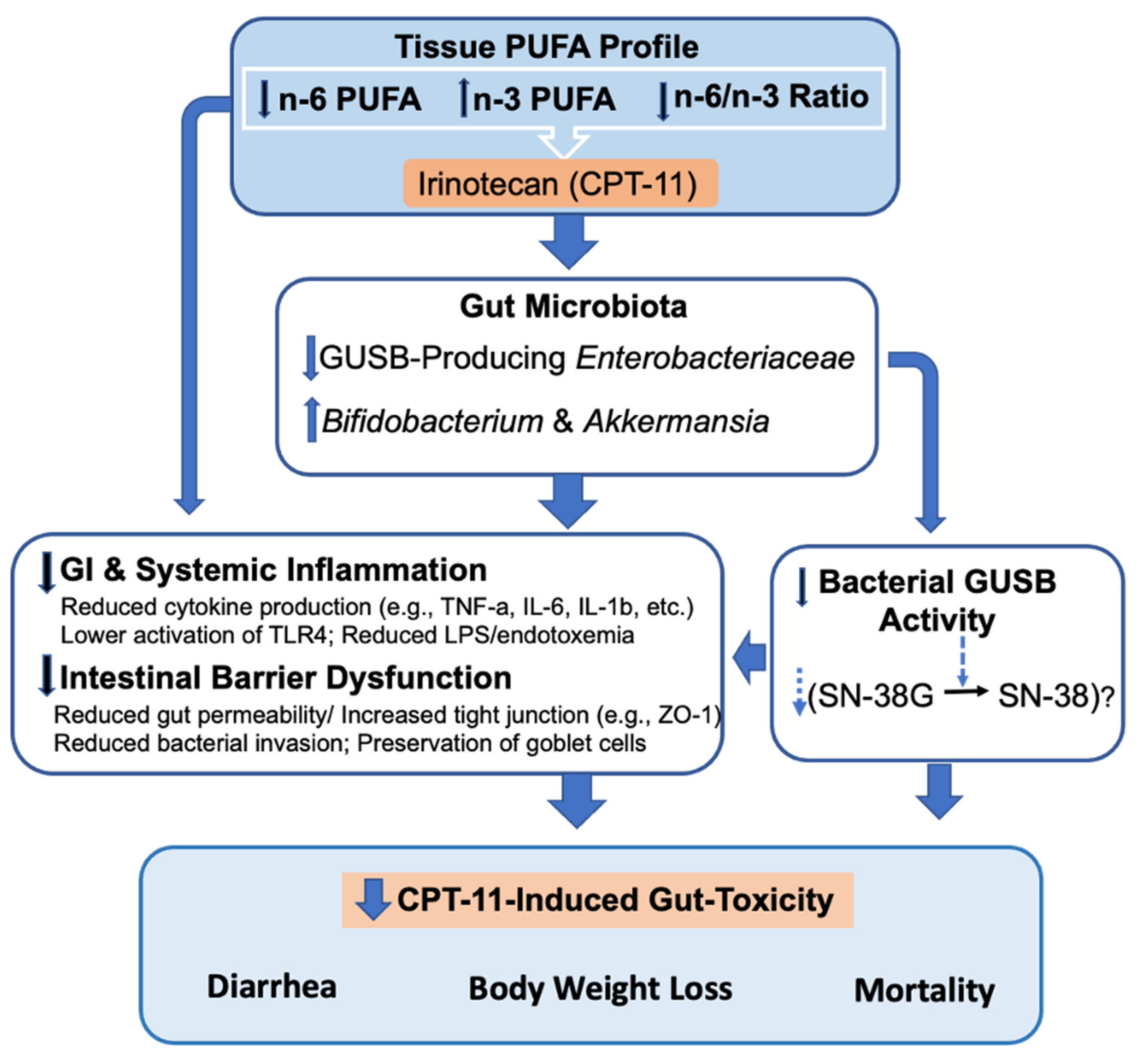 Ijms 23 05332 g008 550