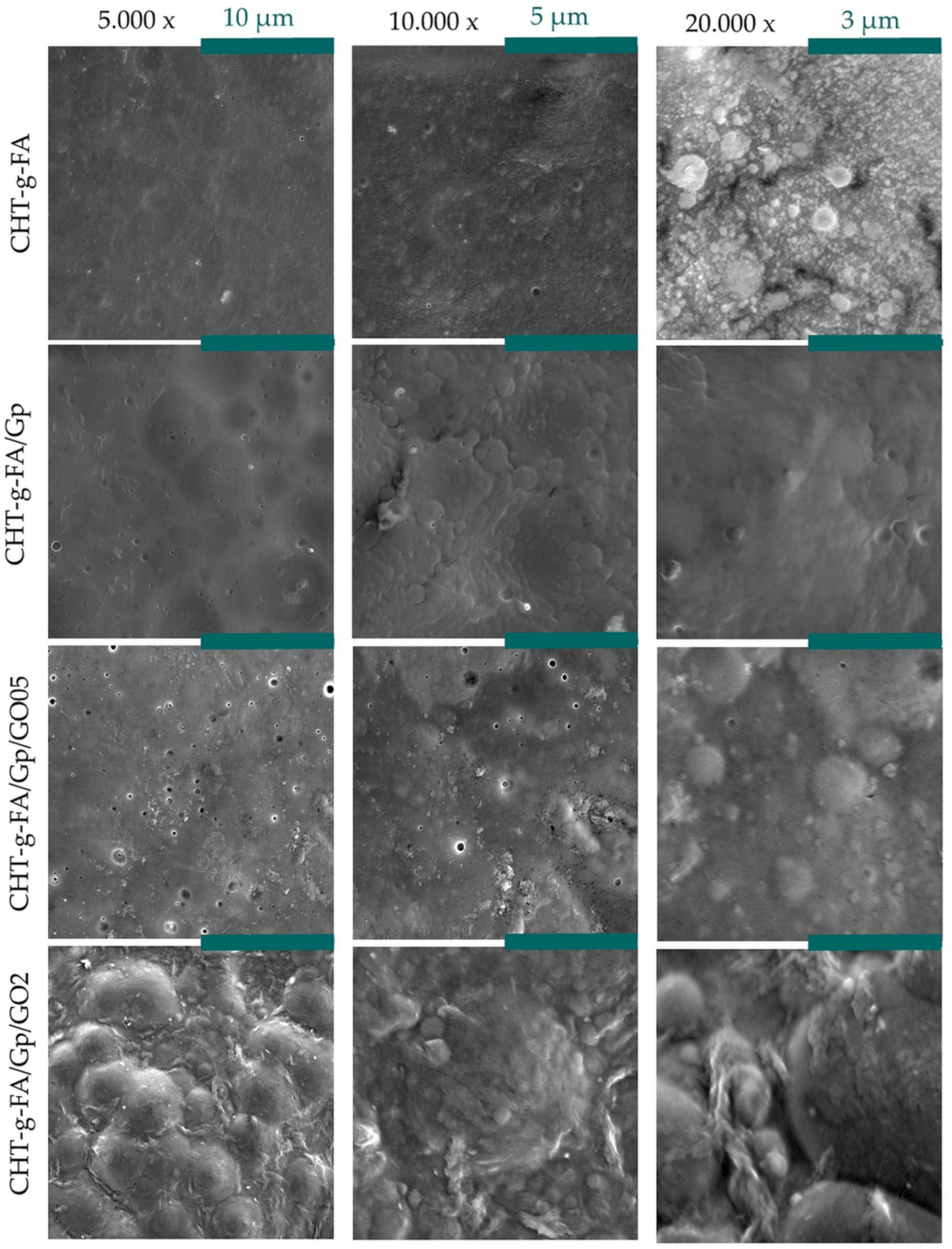 Ijms 23 05336 g004 550